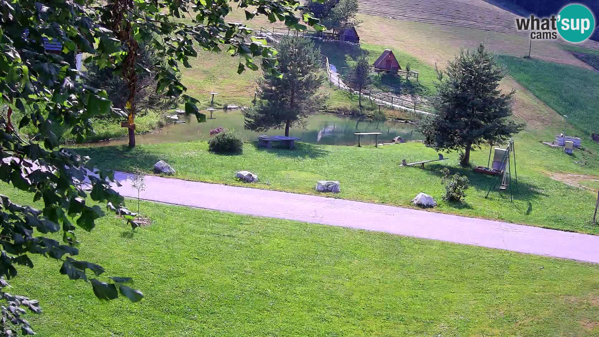 Pond at the Pr’Vrhovc Homestead Webcam