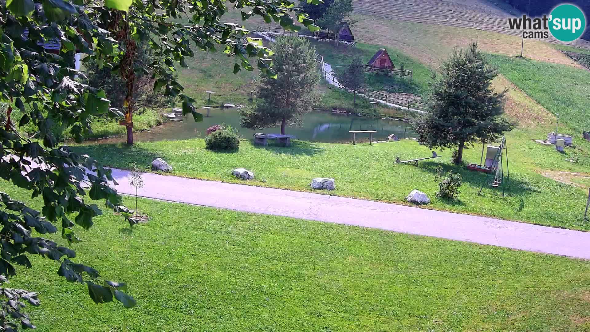 Pond at the Pr’Vrhovc Homestead Webcam