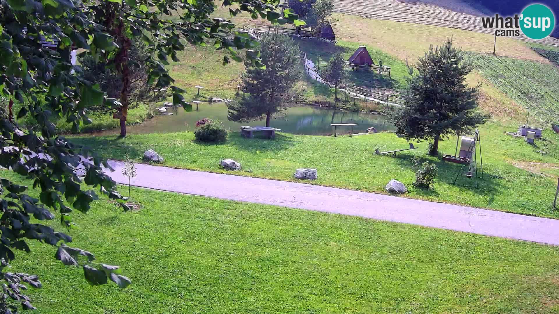 Estanque en la Finca Pr’Vrhovc | Cámara web