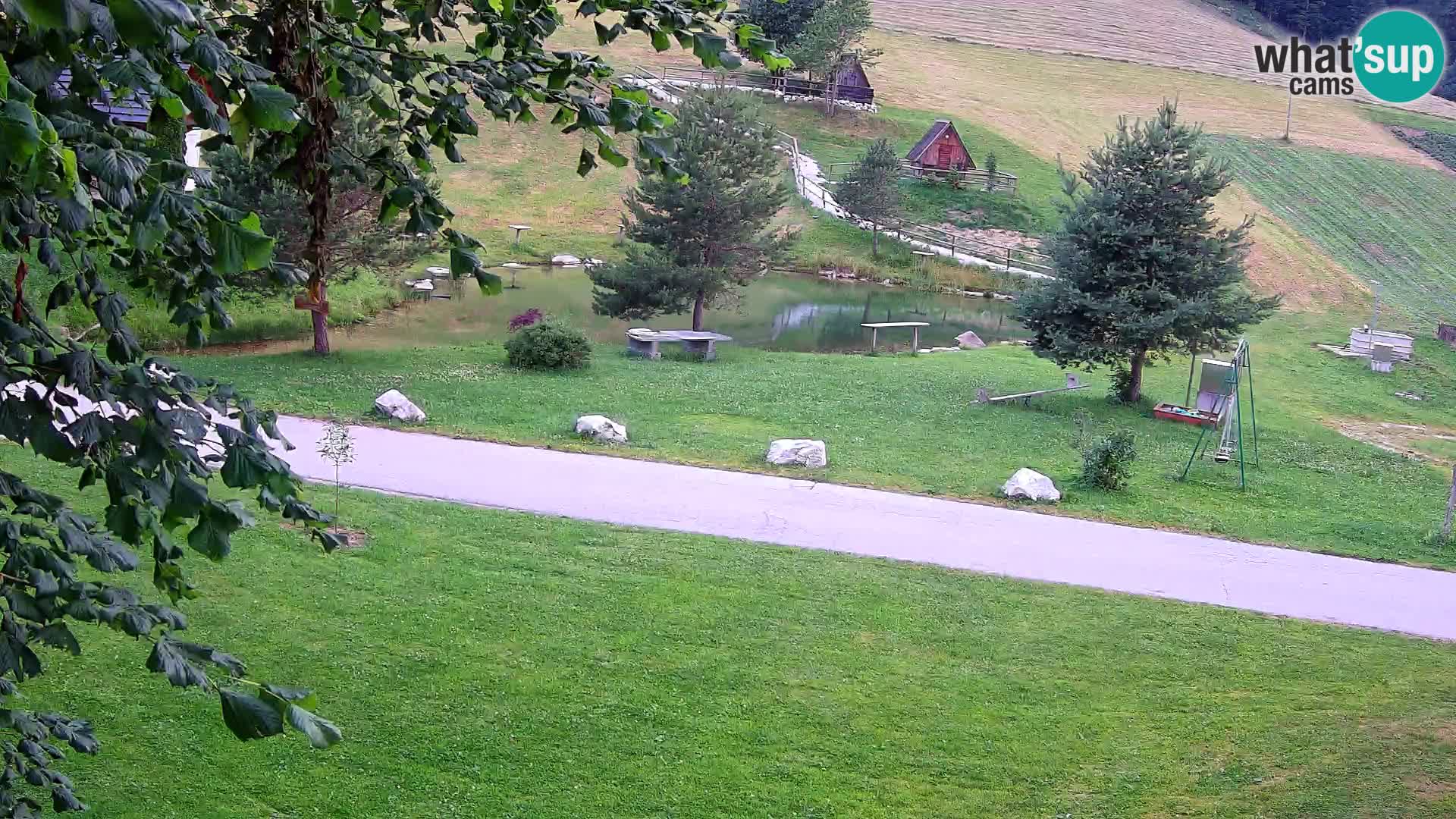 Pond at the Pr’Vrhovc Homestead Webcam