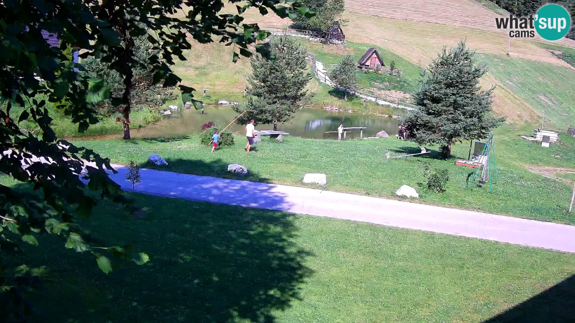 Pond at the Pr’Vrhovc Homestead Webcam