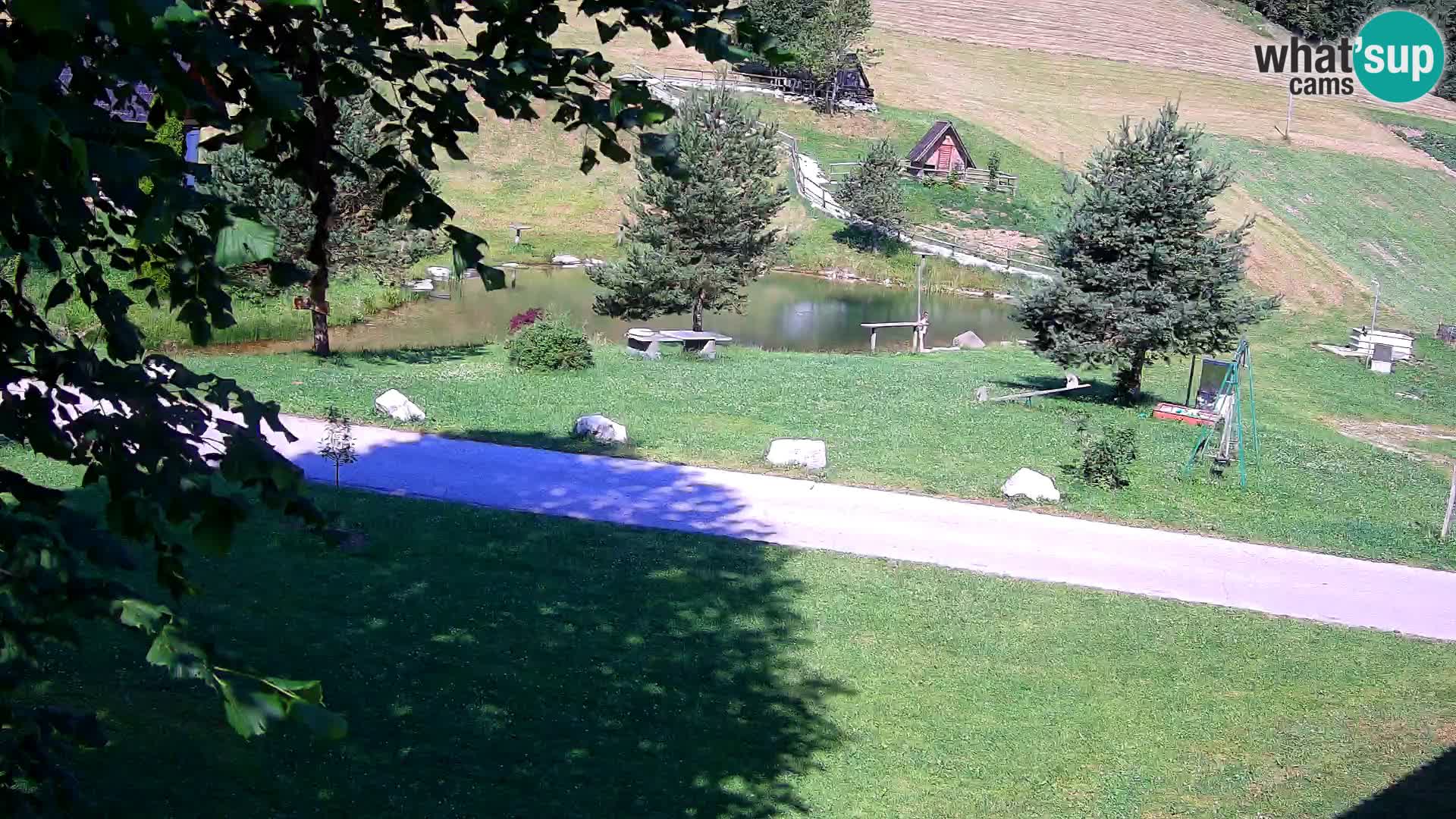 Stagno presso la Fattoria turistica Pr’Vrhovc | webcam in diretta