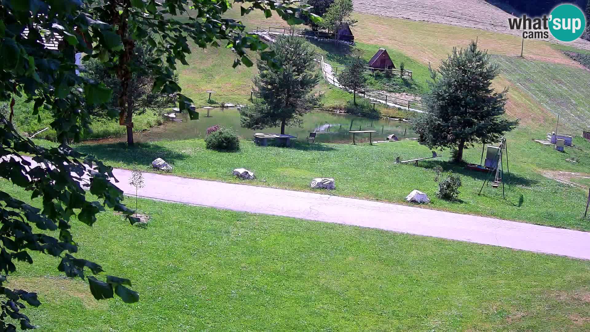 Étang à la ferme Pr’Vrhovc | Caméra en direct