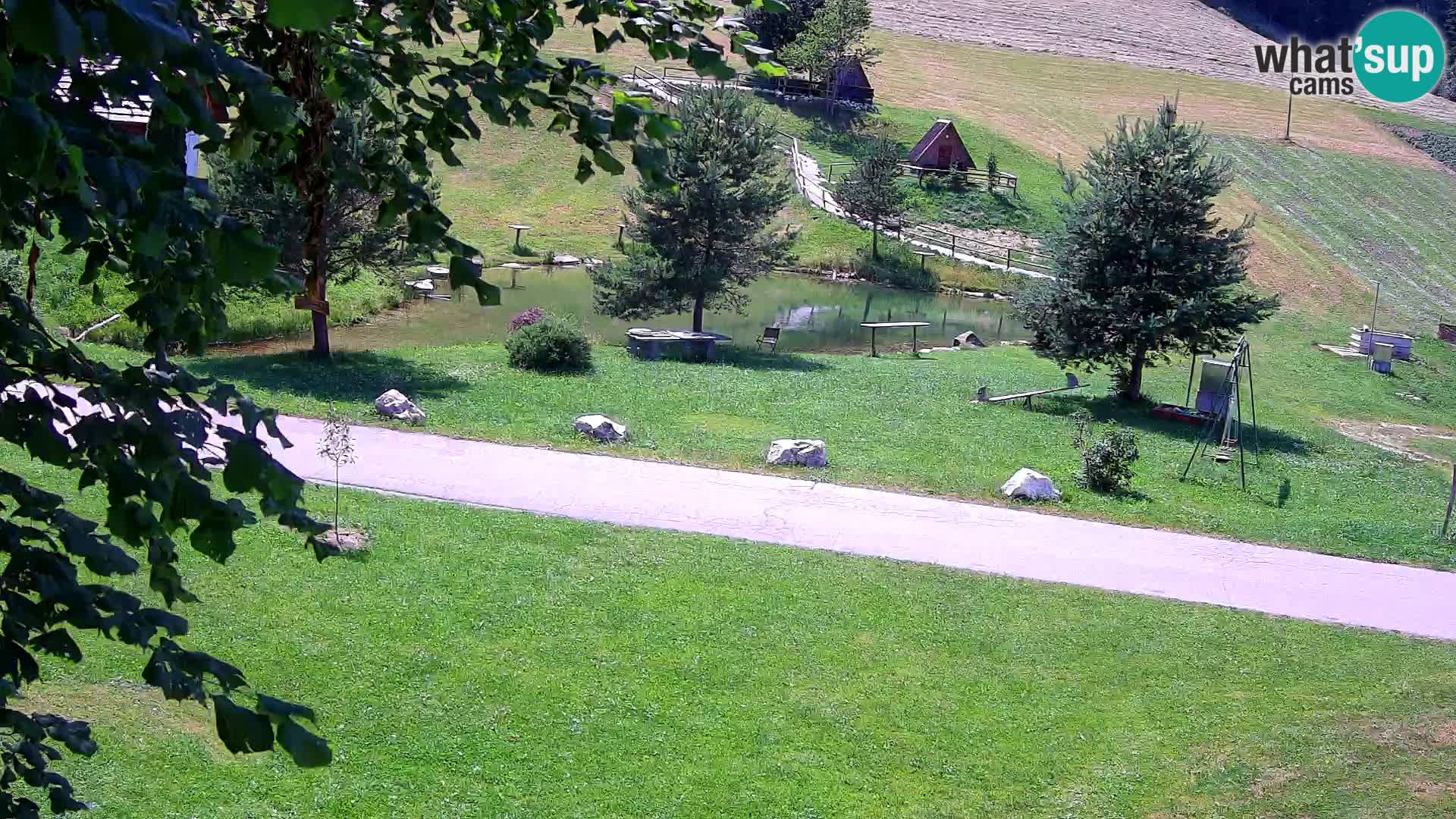 Ribnjak na domaćinstvu Pr’Vrhovc | Web kamera