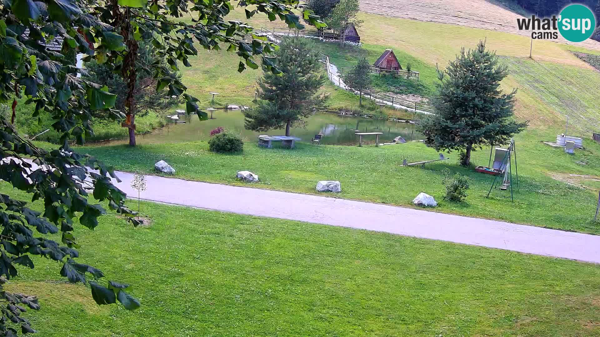 Pond at the Pr’Vrhovc Homestead Webcam