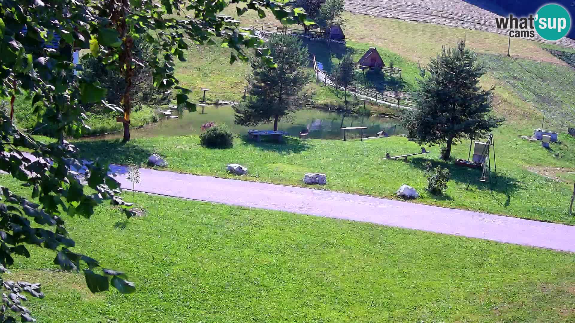 Ribnjak na domaćinstvu Pr’Vrhovc | Web kamera