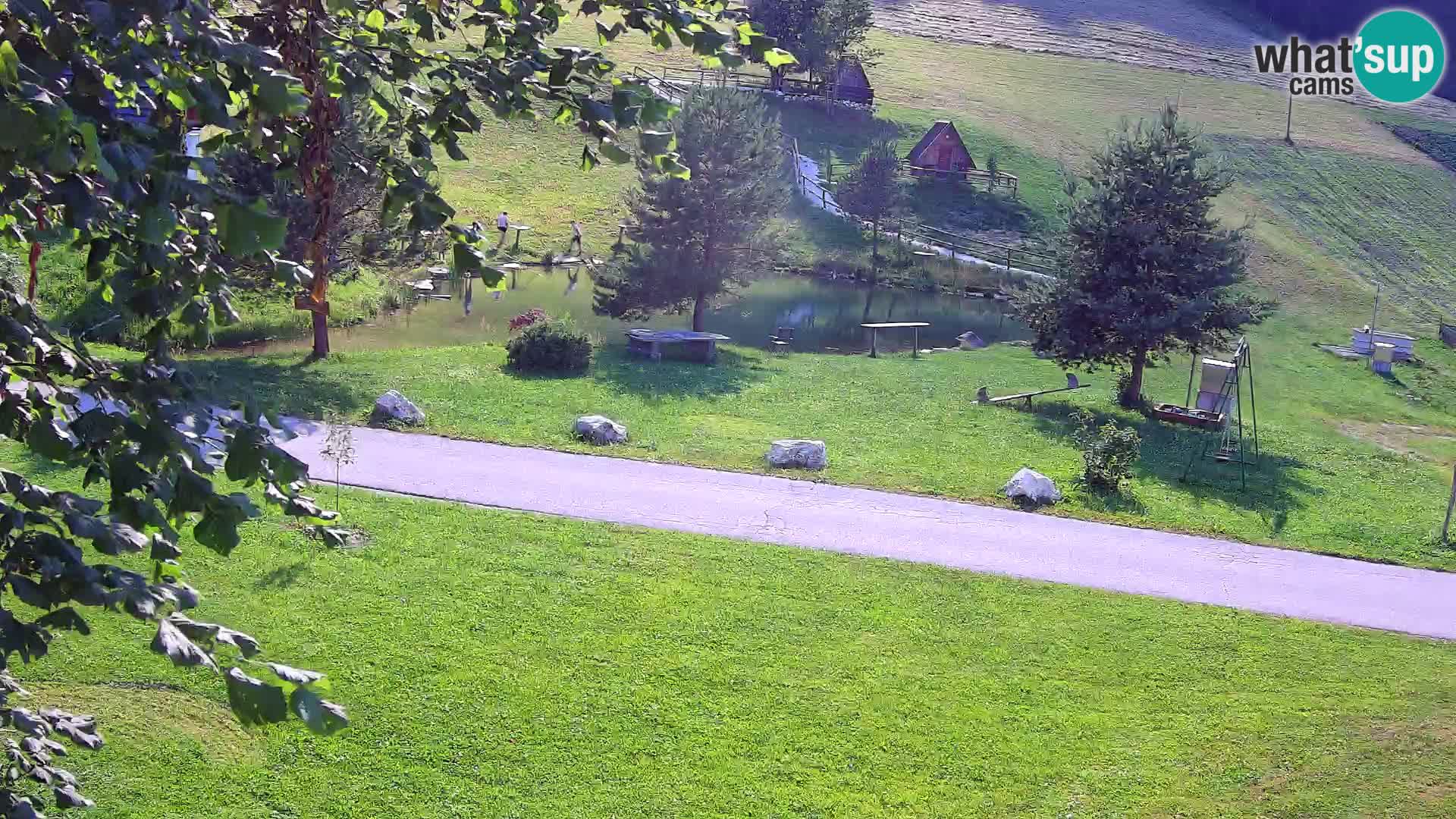 Teich auf dem Bauernhof Pr’Vrhovc | Webkamera