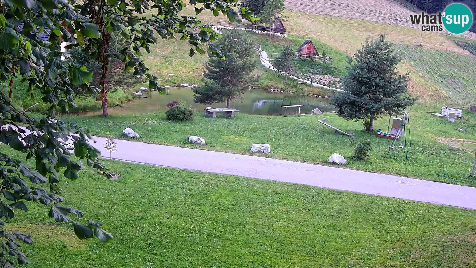 Pond at the Pr’Vrhovc Homestead Webcam