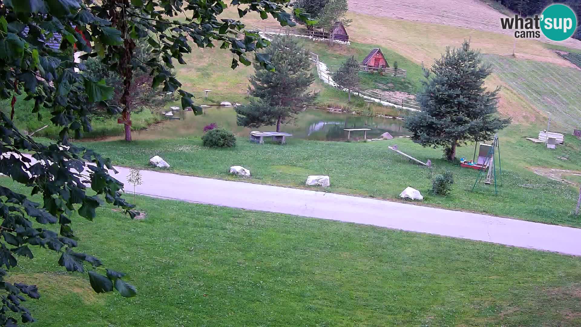 Pond at the Pr’Vrhovc Homestead Webcam