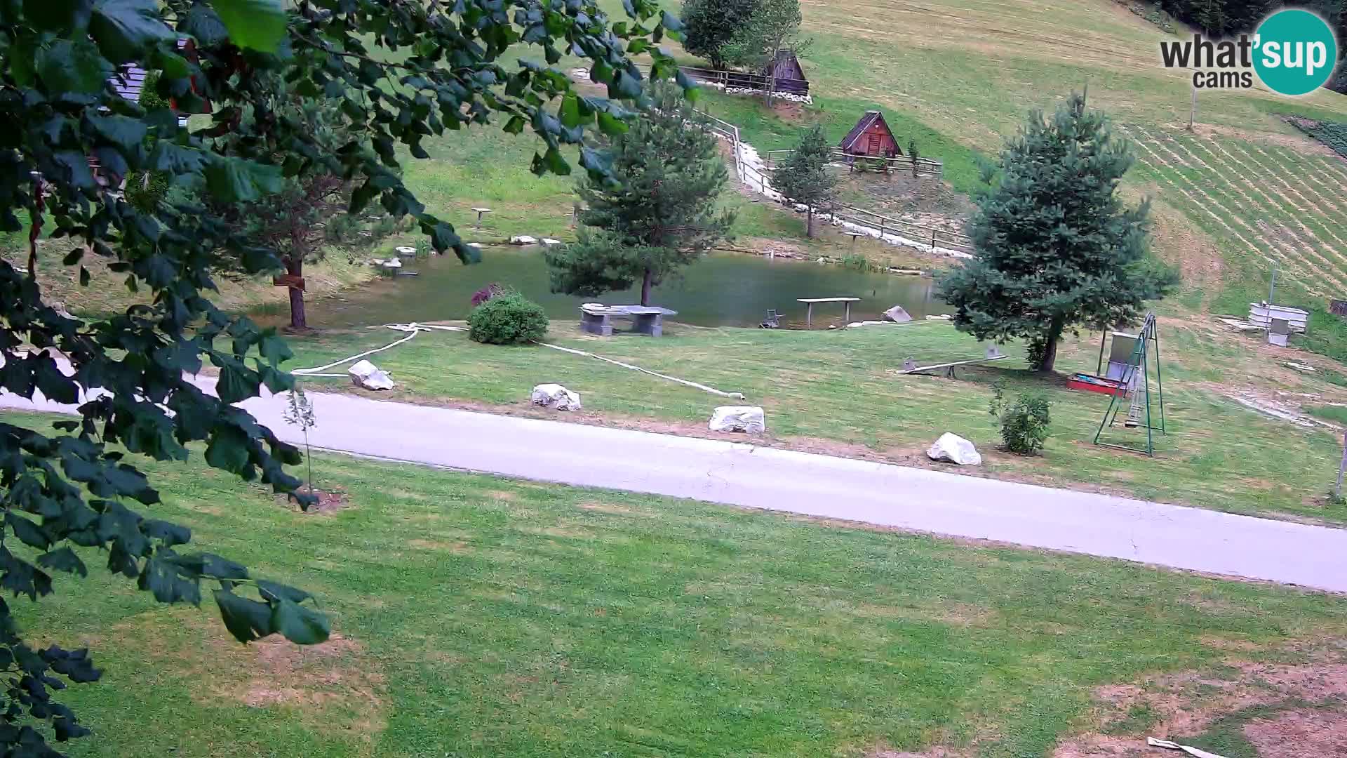Stagno presso la Fattoria turistica Pr’Vrhovc | webcam in diretta