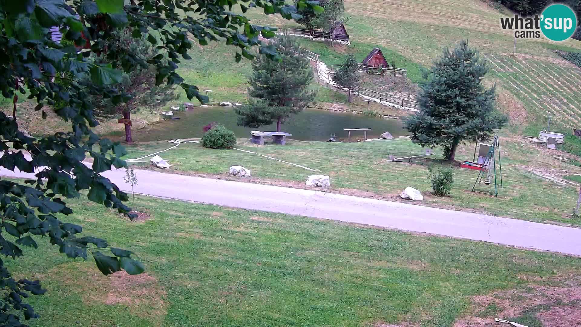 Étang à la ferme Pr’Vrhovc | Caméra en direct