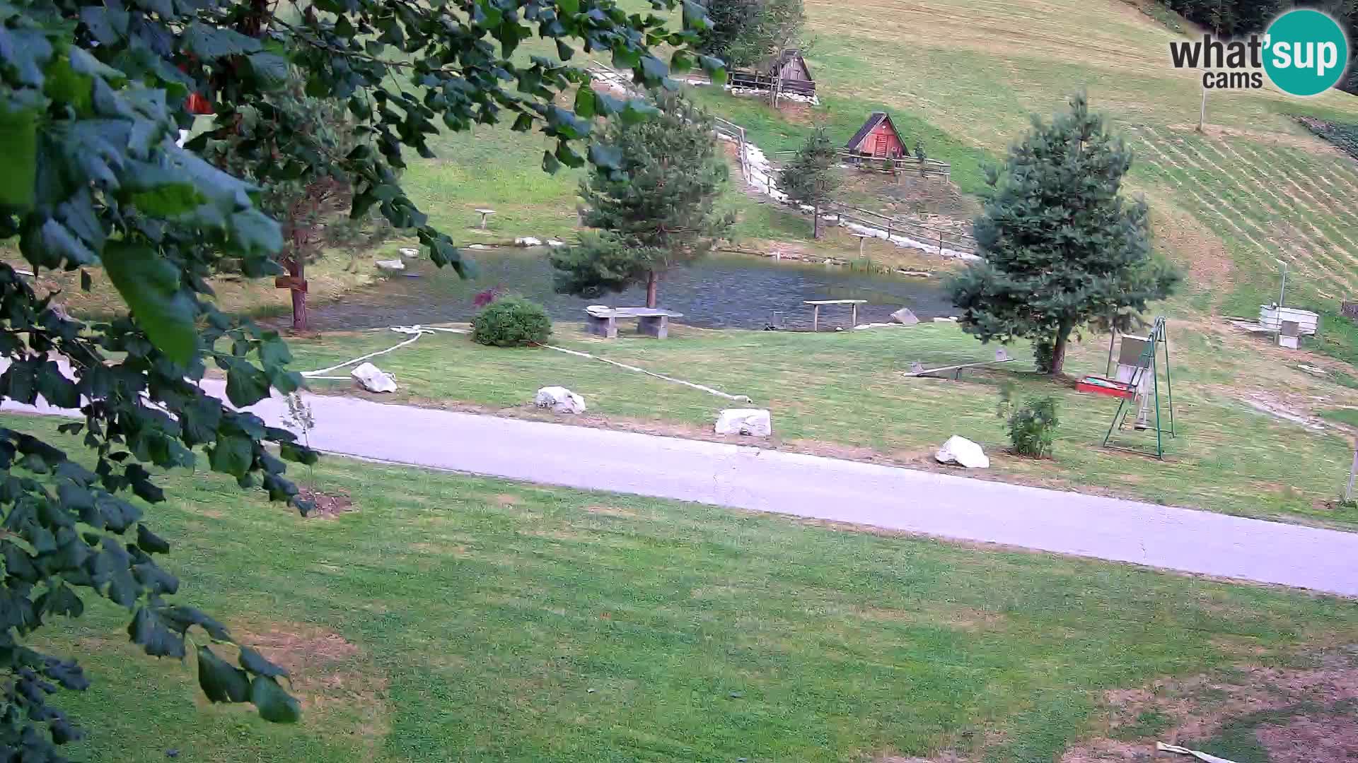 Pond at the Pr’Vrhovc Homestead Webcam