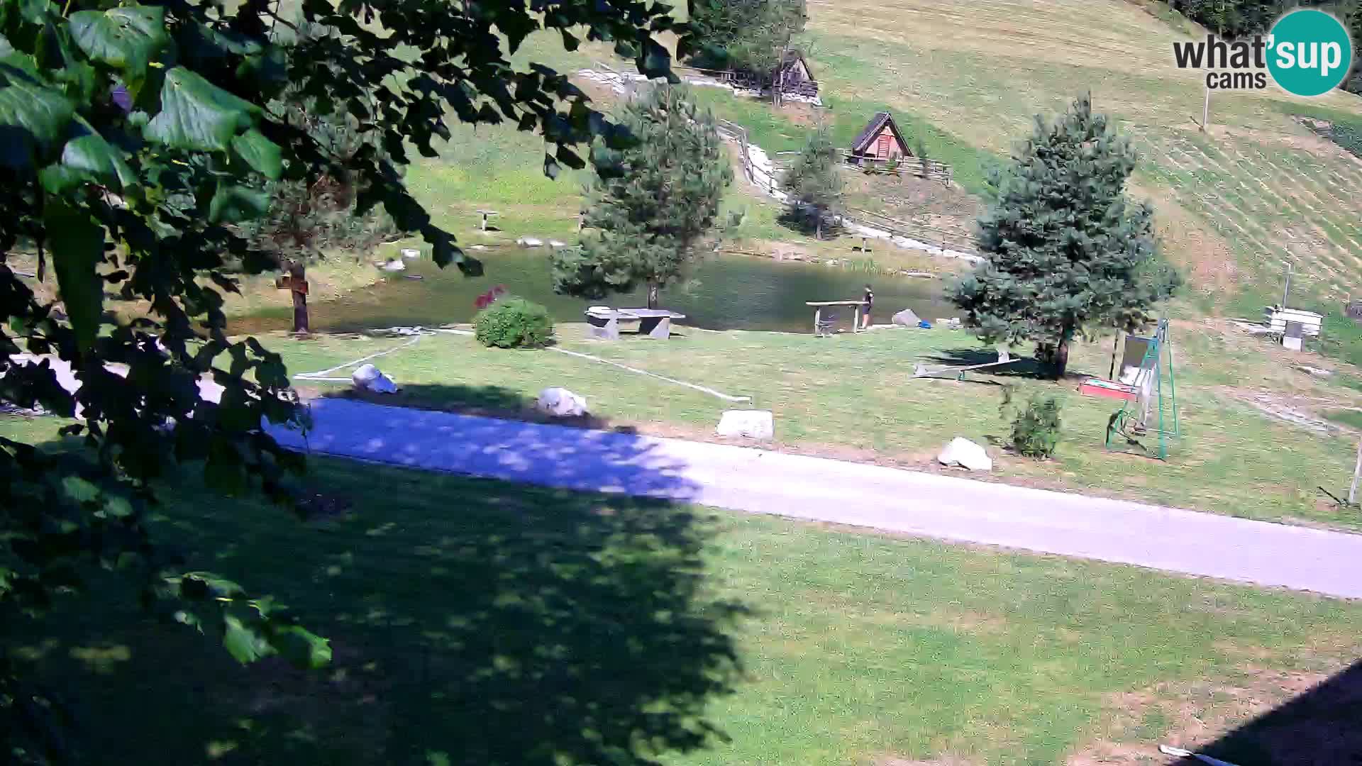 Pond at the Pr’Vrhovc Homestead Webcam