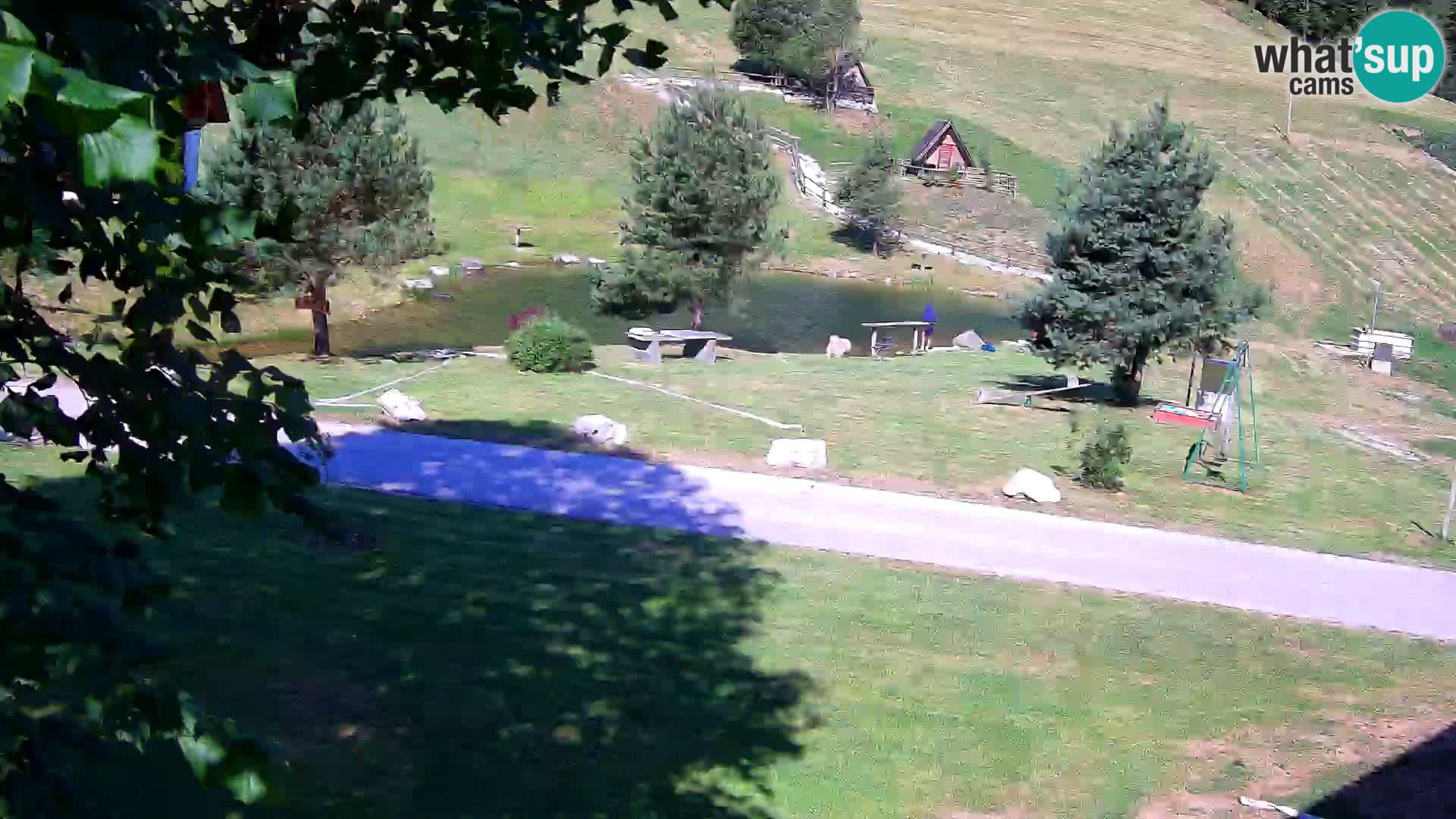 Pond at the Pr’Vrhovc Homestead Webcam