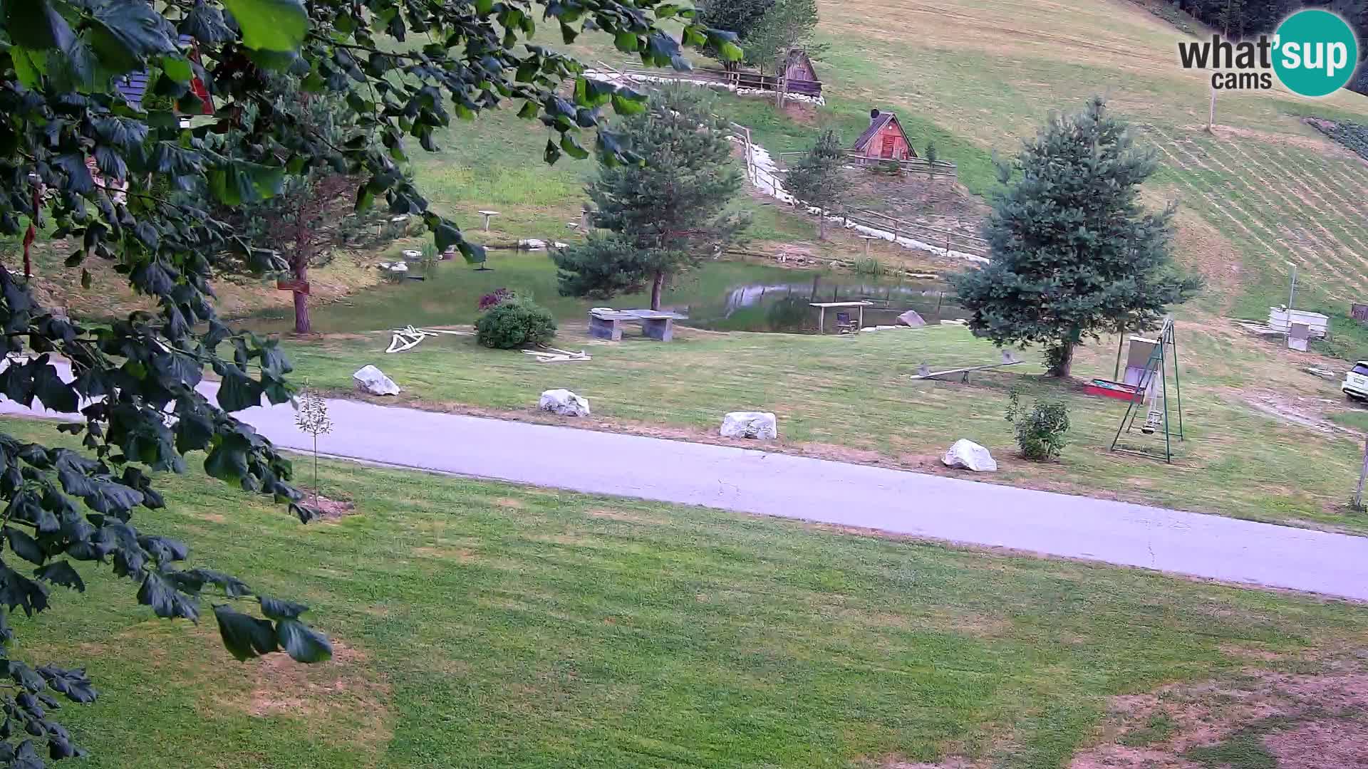 Pond at the Pr’Vrhovc Homestead Webcam