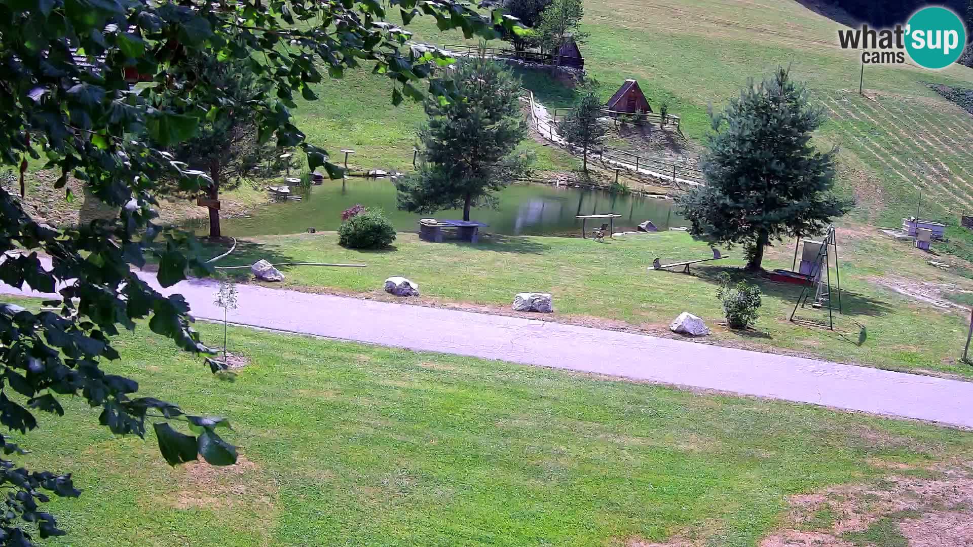 Pond at the Pr’Vrhovc Homestead Webcam
