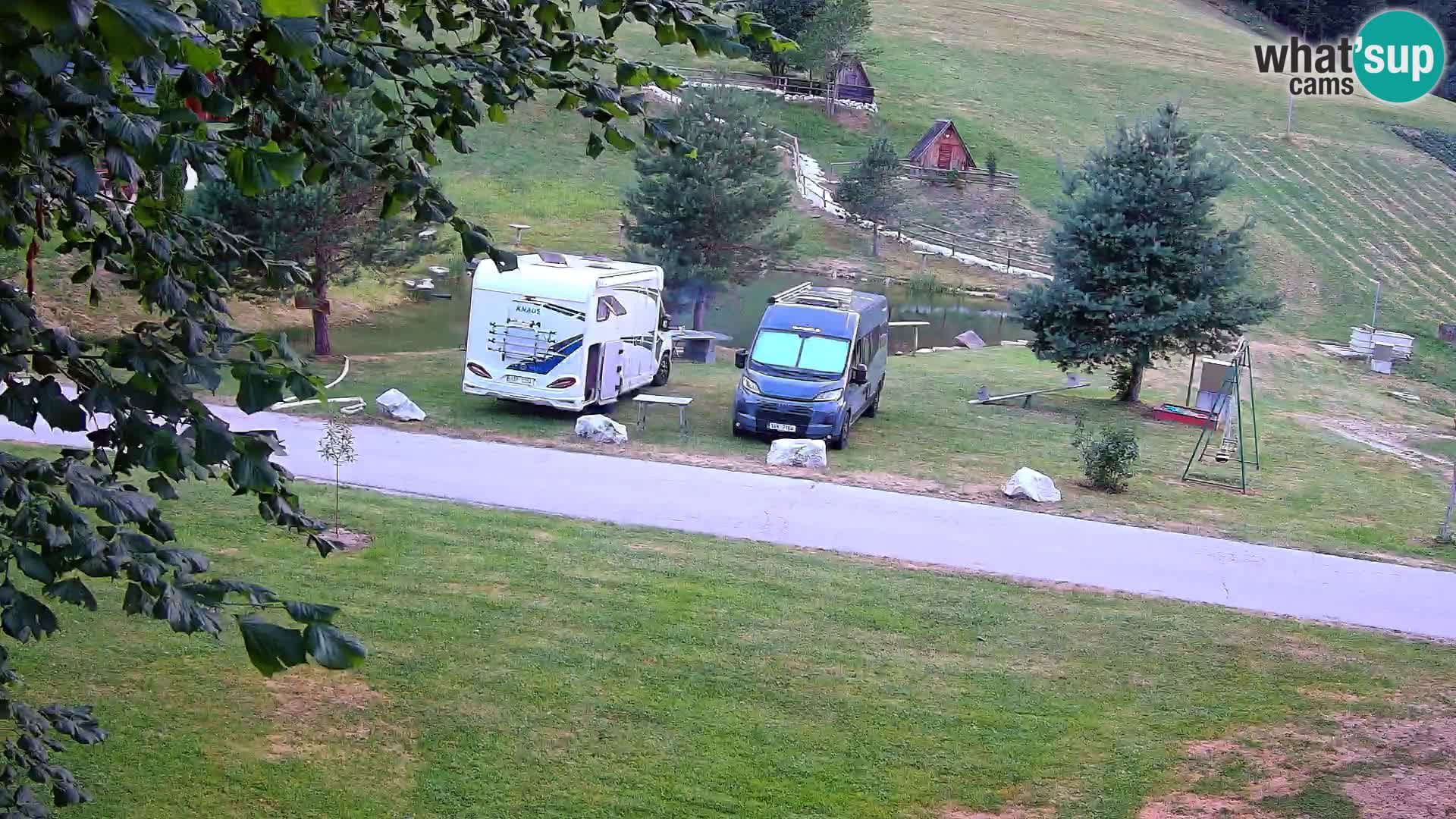 Ribnjak na domaćinstvu Pr’Vrhovc | Web kamera