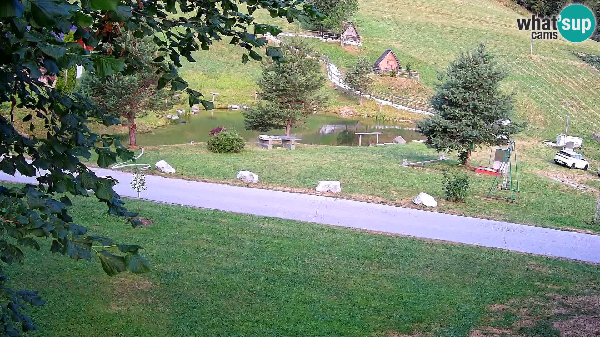 Pond at the Pr’Vrhovc Homestead Webcam