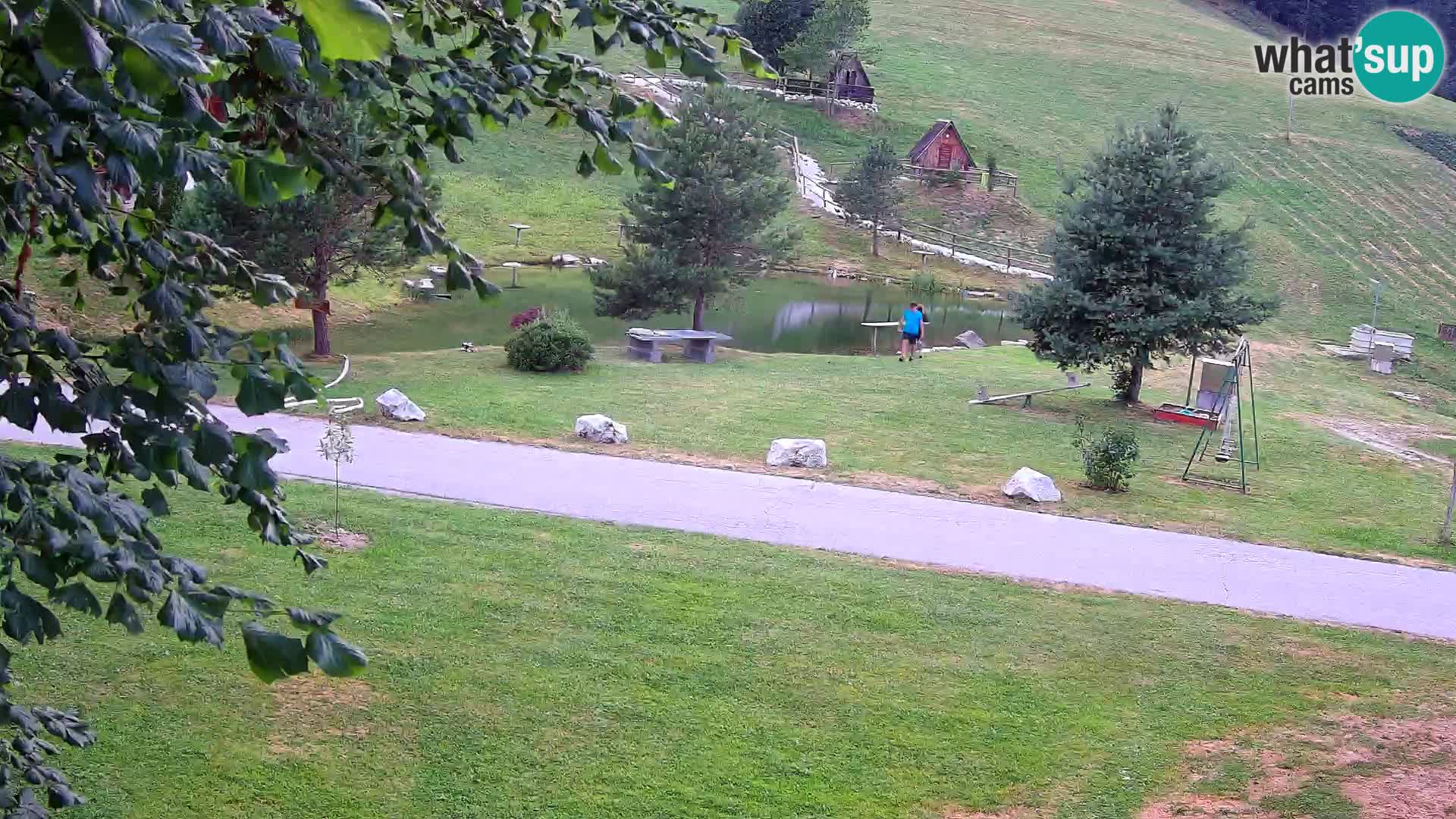 Stagno presso la Fattoria turistica Pr’Vrhovc | webcam in diretta
