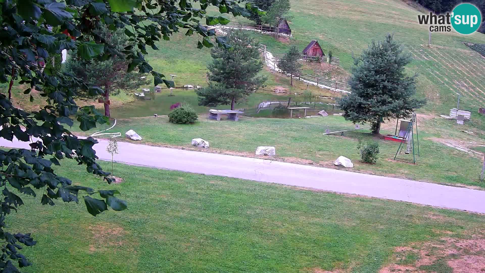 Pond at the Pr’Vrhovc Homestead Webcam