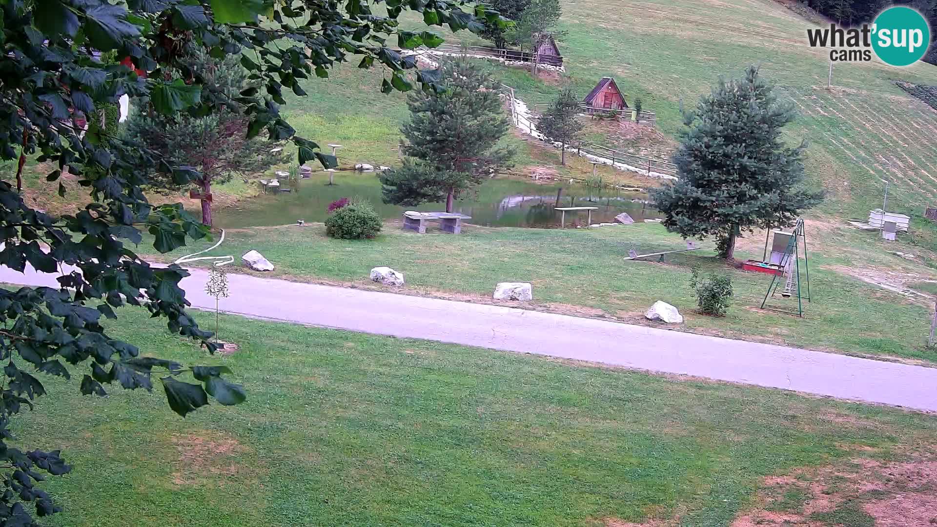 Stagno presso la Fattoria turistica Pr’Vrhovc | webcam in diretta