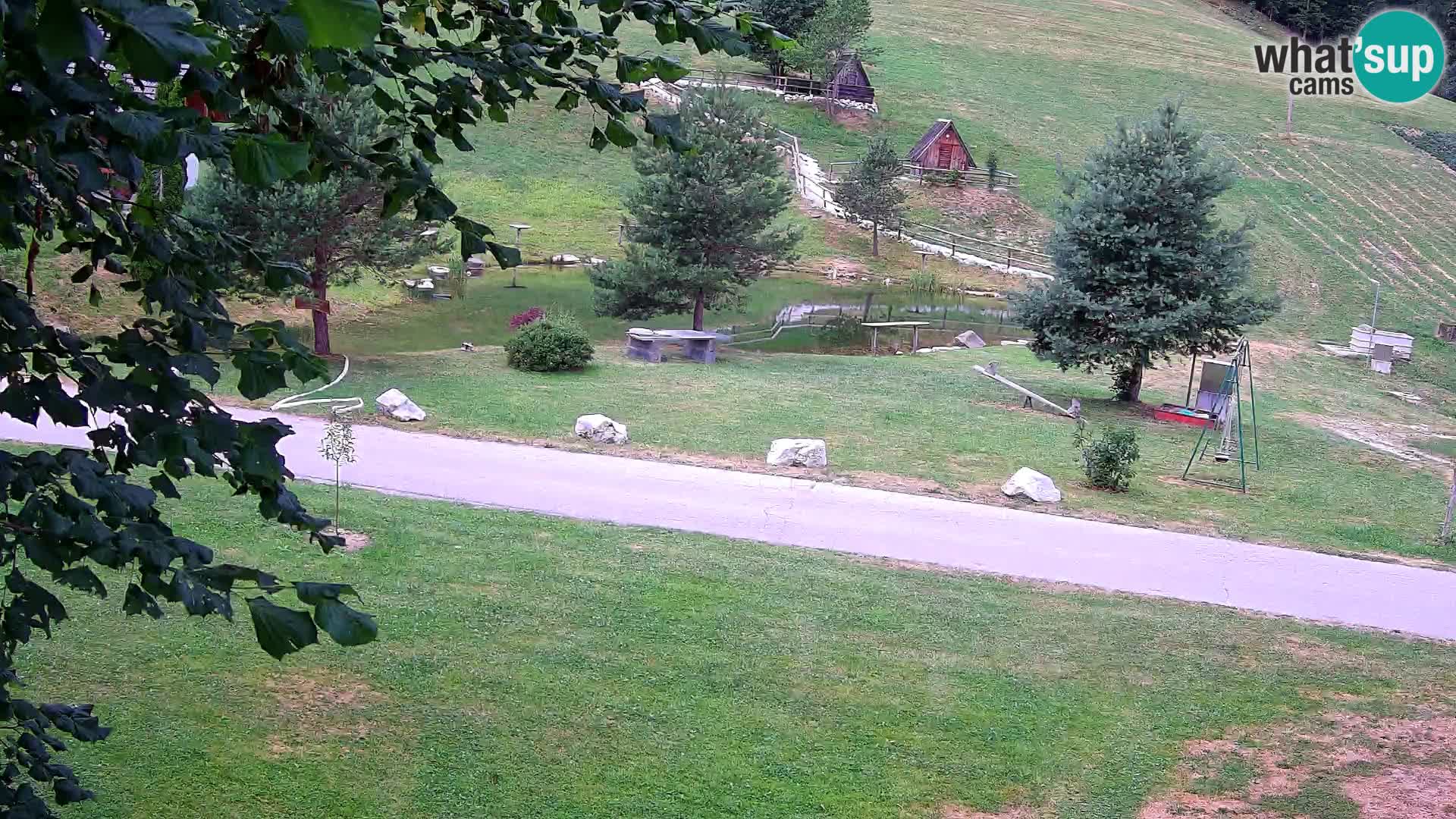 Étang à la ferme Pr’Vrhovc | Caméra en direct