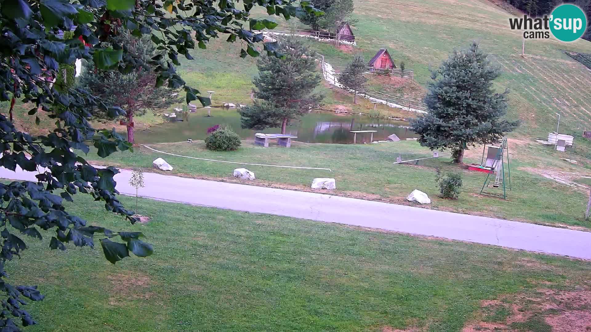 Pond at the Pr’Vrhovc Homestead Webcam