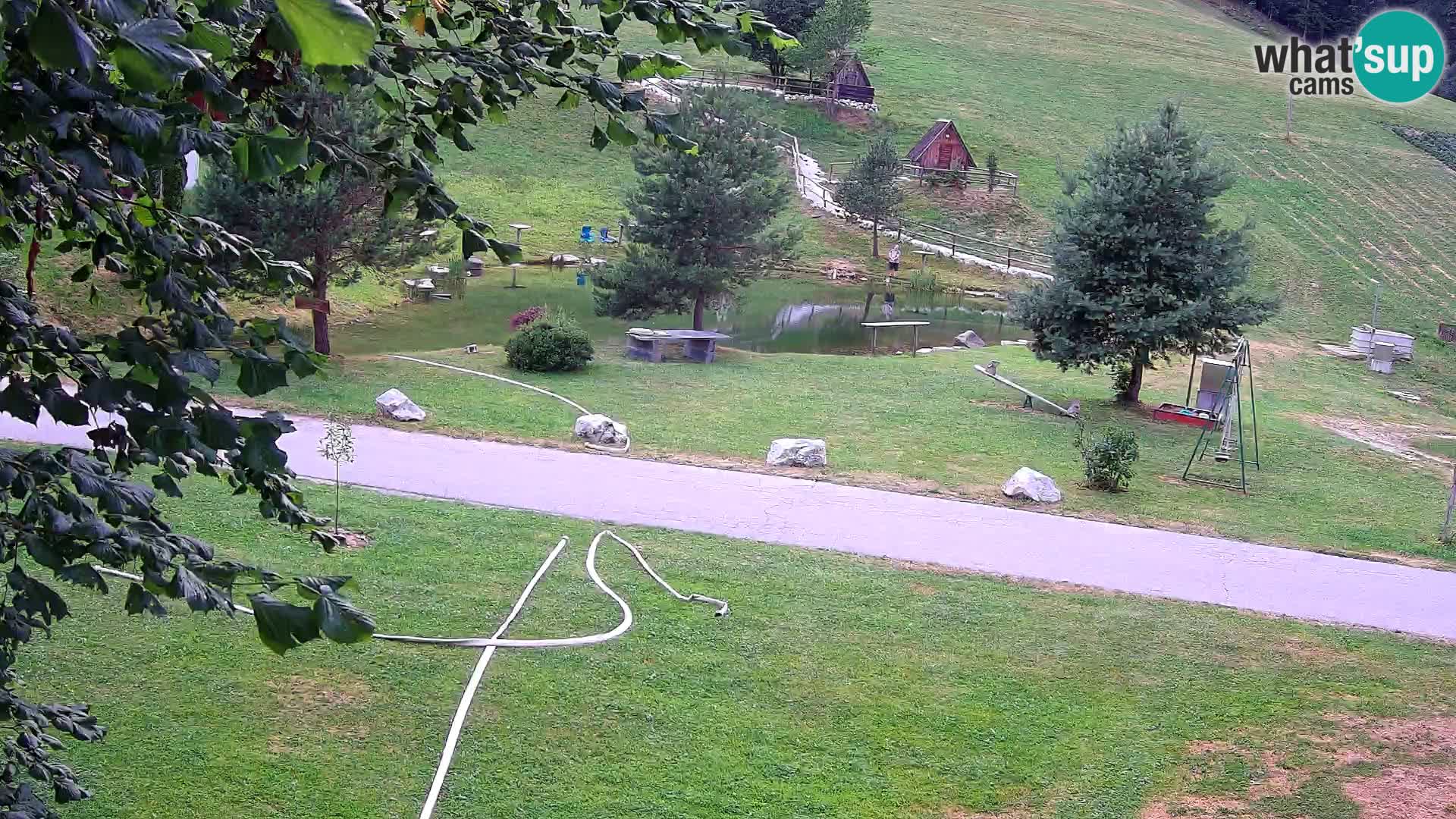 Stagno presso la Fattoria turistica Pr’Vrhovc | webcam in diretta