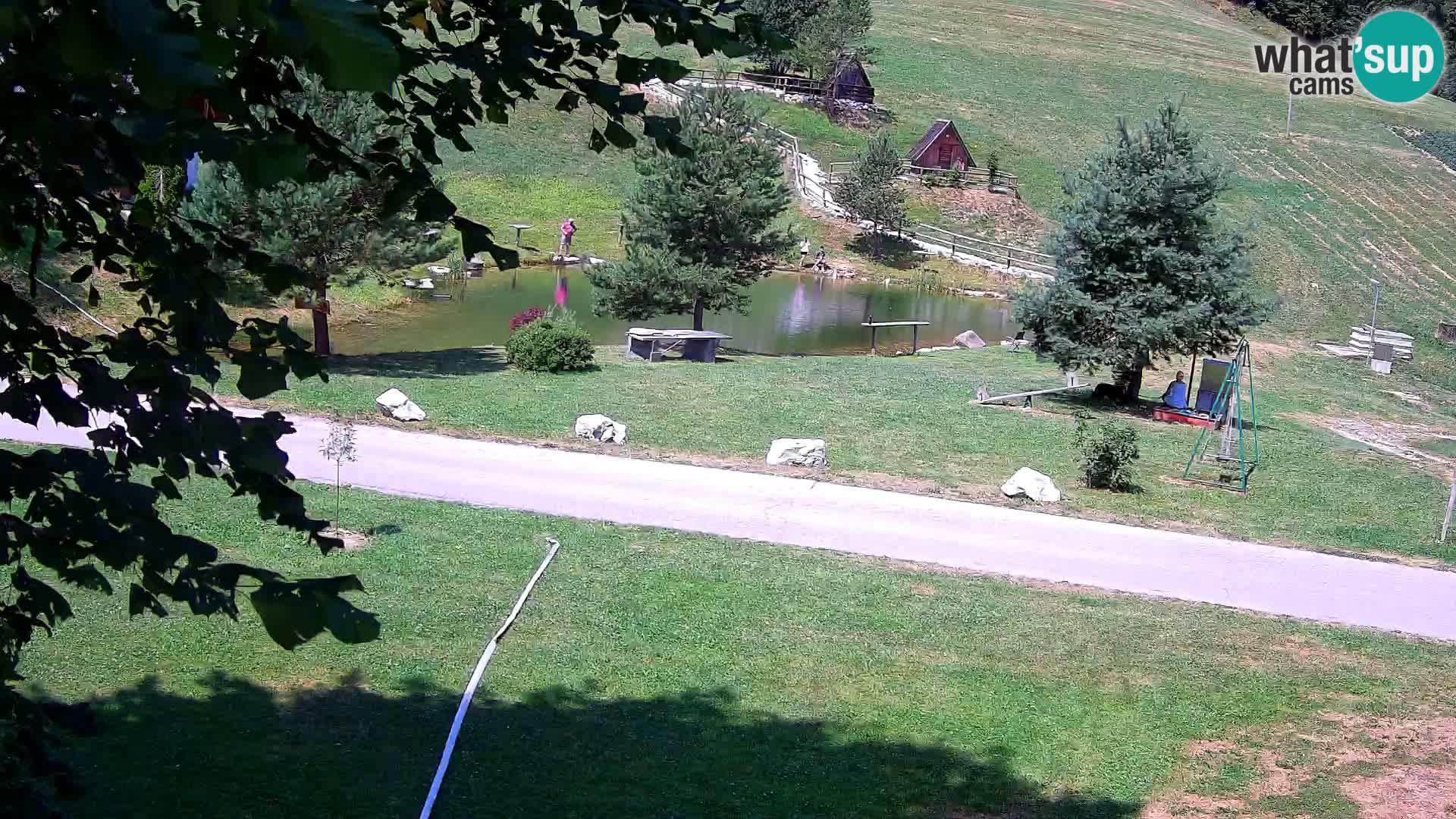 Pond at the Pr’Vrhovc Homestead Webcam