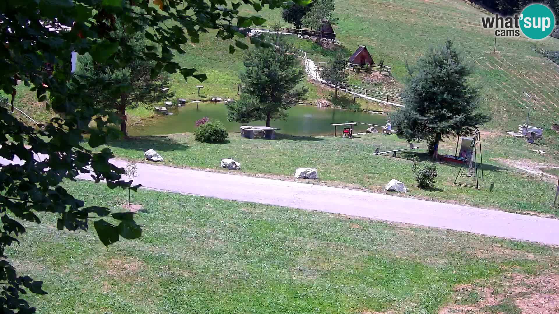 Stagno presso la Fattoria turistica Pr’Vrhovc | webcam in diretta