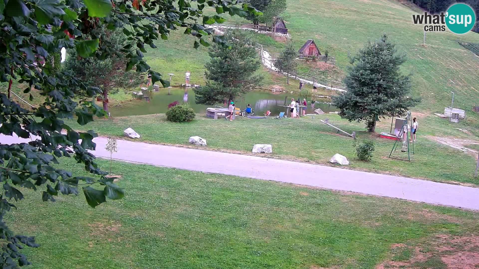 Pond at the Pr’Vrhovc Homestead Webcam