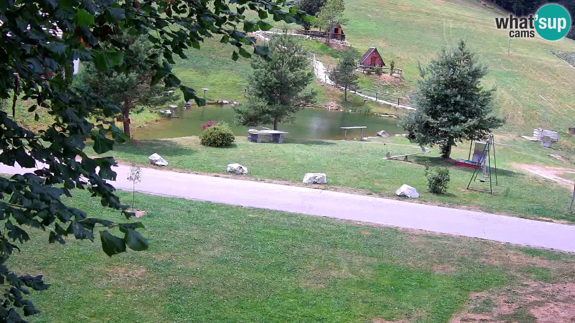 Pond at the Pr’Vrhovc Homestead Webcam