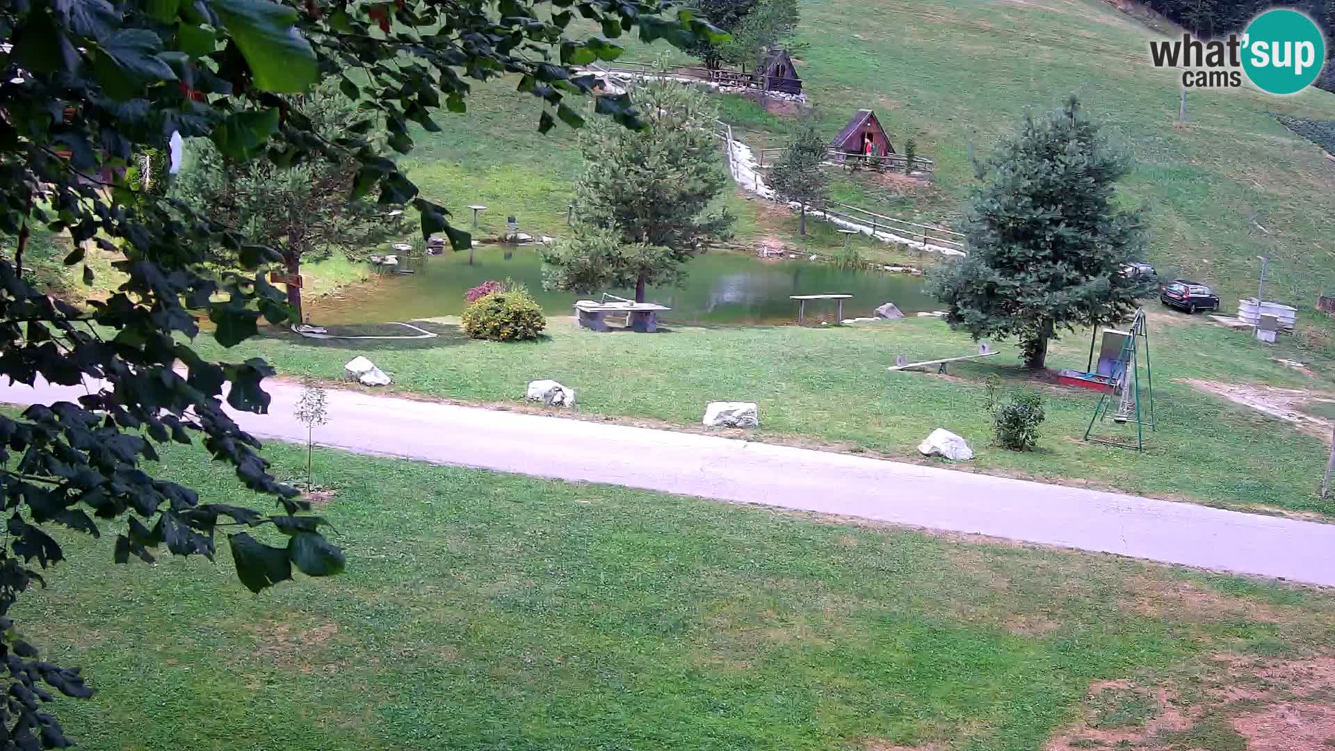 Ribnik na Domačiji Pr’Vrhovc | Spletna kamera