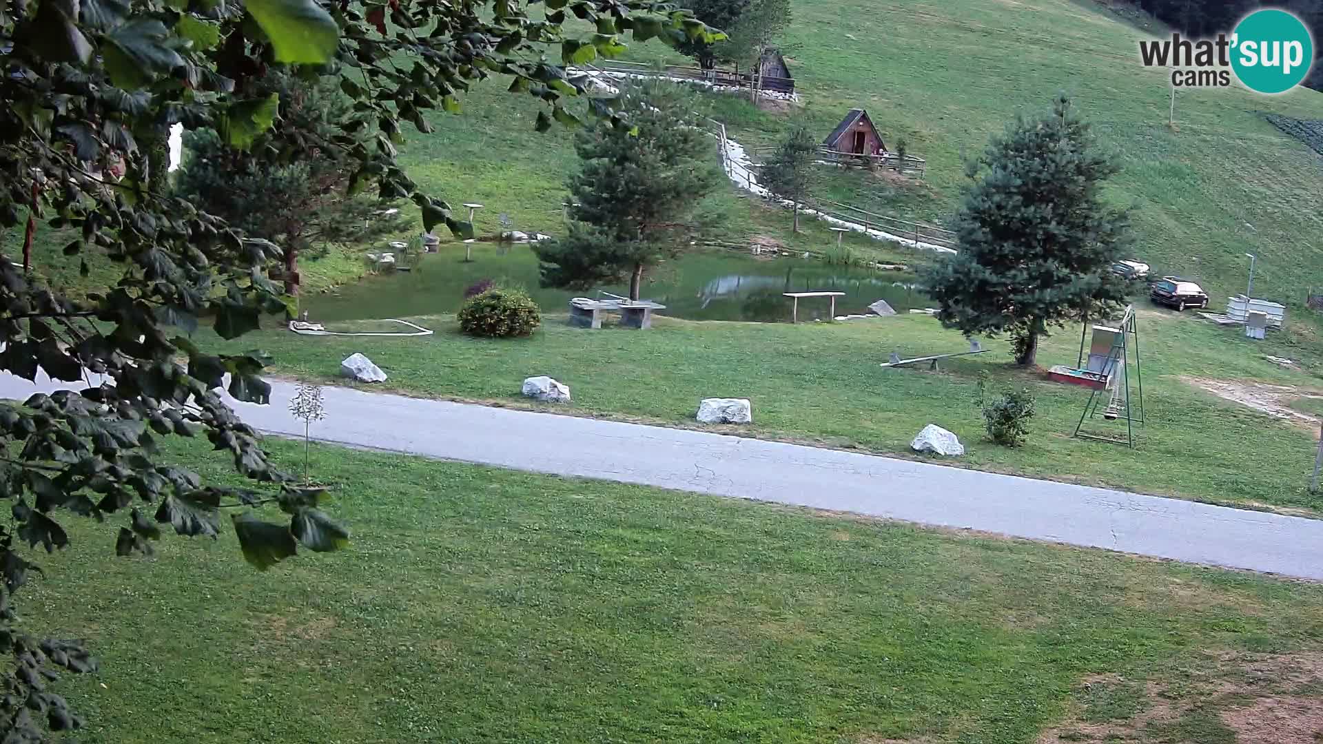 Pond at the Pr’Vrhovc Homestead Webcam
