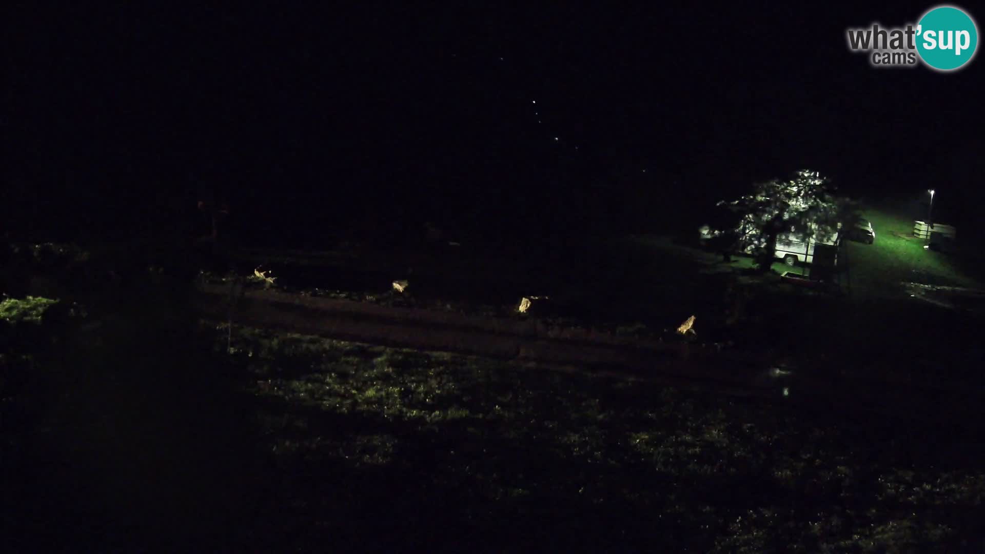 Étang à la ferme Pr’Vrhovc | Caméra en direct