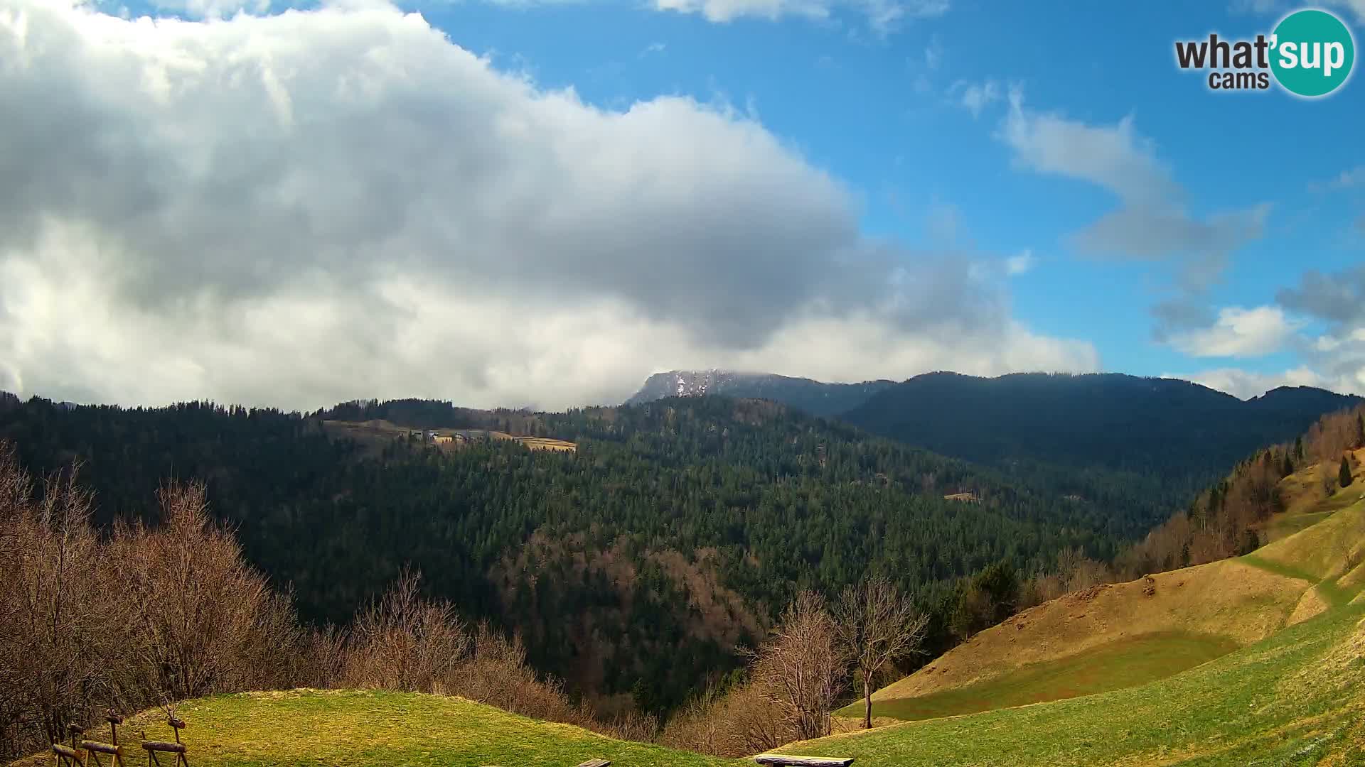 Webcam Brunarica Dražgoše – Vista live sul Ratitovec (1666 m)