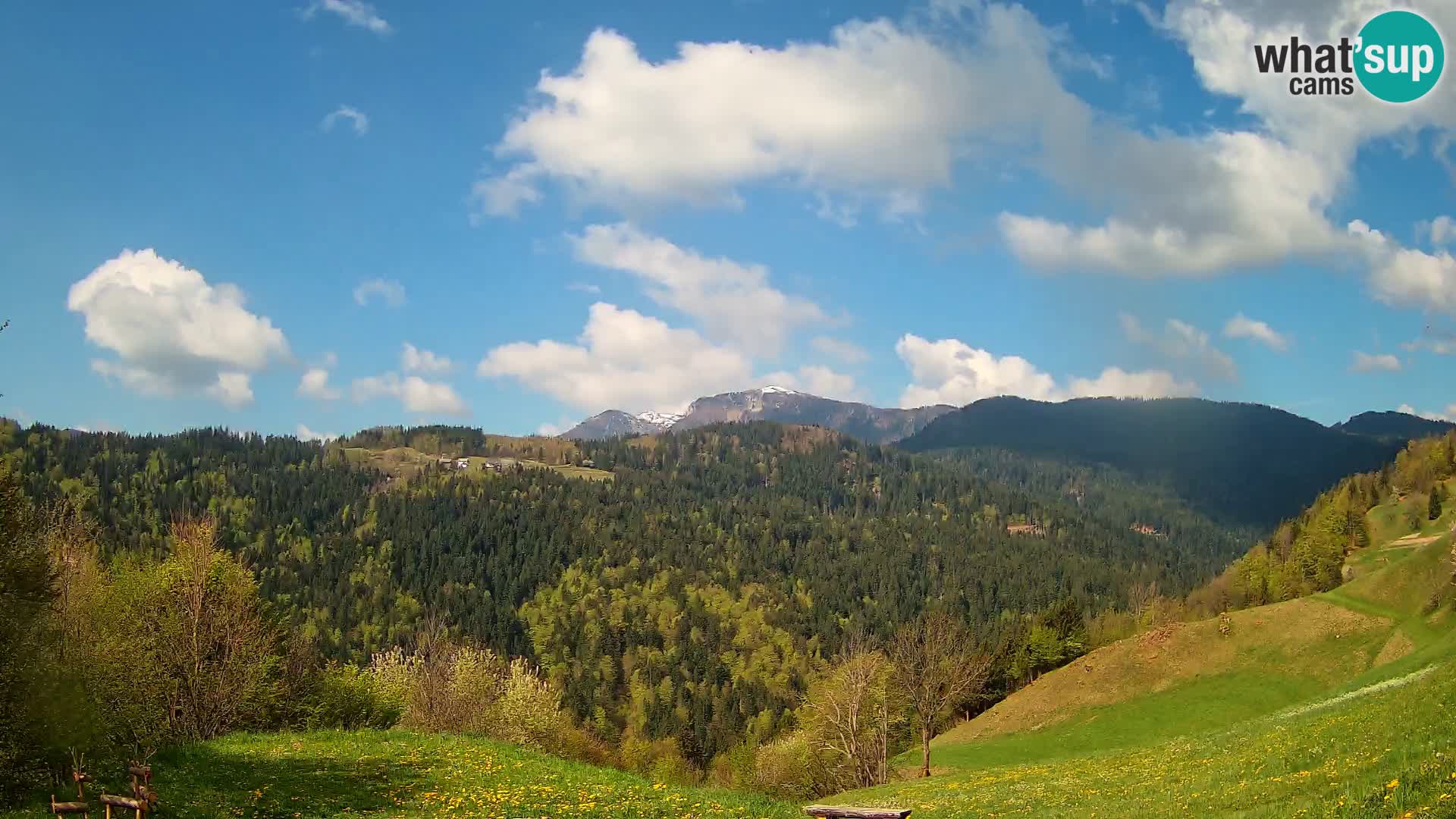 Webcam Brunarica Dražgoše – Live View of Ratitovec (1666 m)