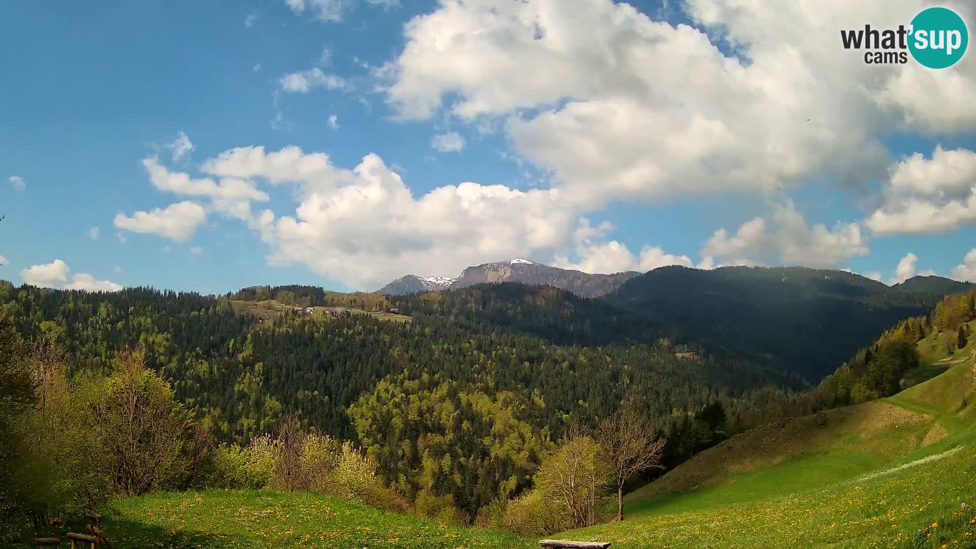 Webcam Brunarica Dražgoše – Liveblick auf Ratitovec (1666 m)