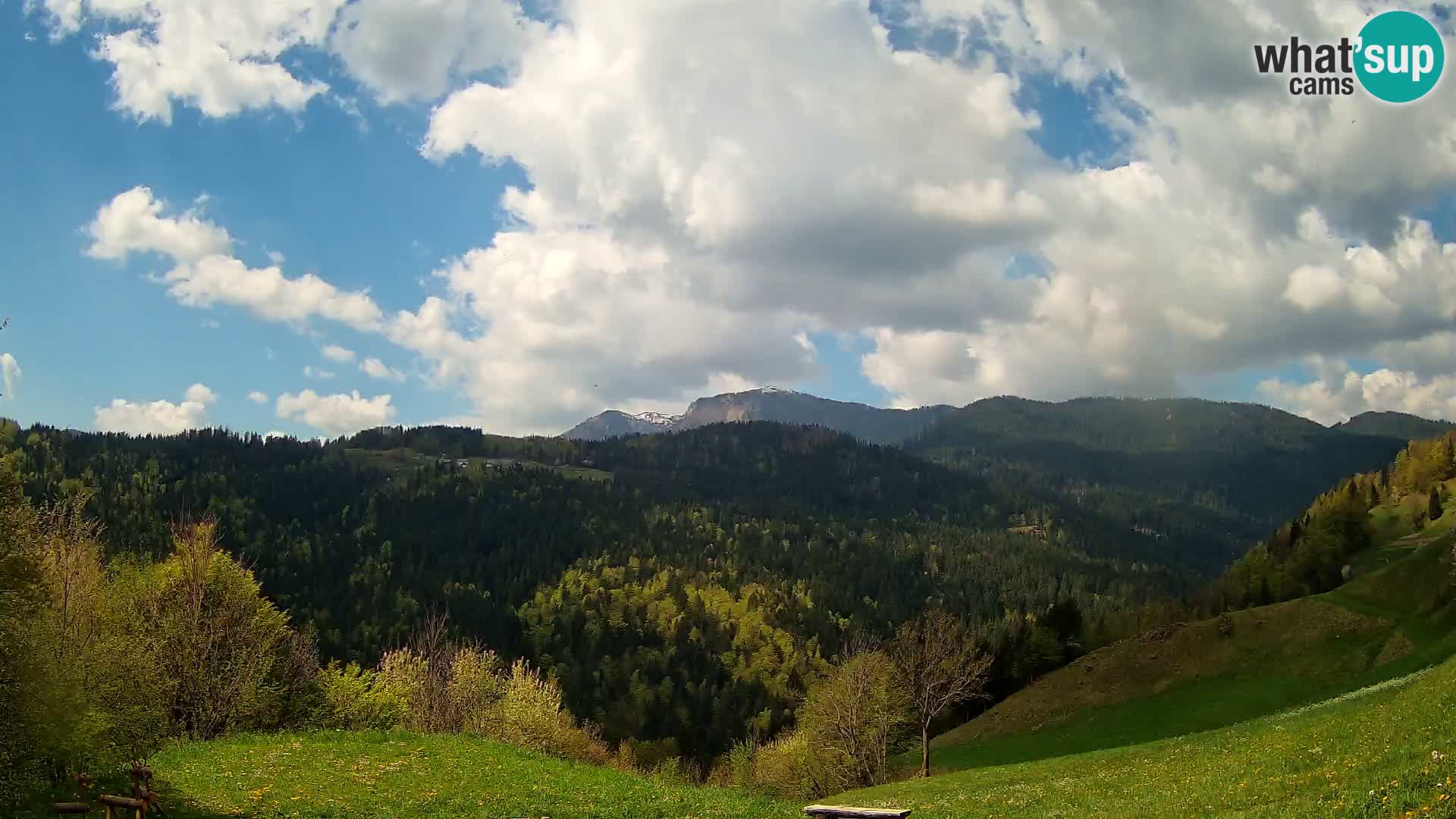 Webcam Brunarica Dražgoše – Live View of Ratitovec (1666 m)