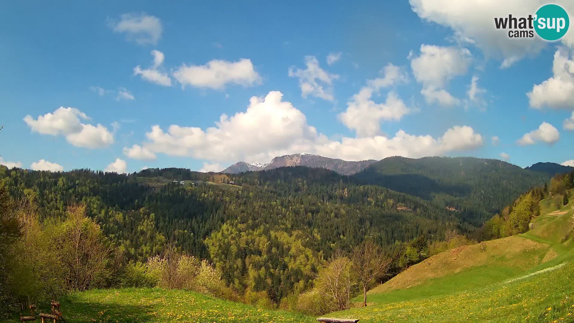 Webcam Brunarica Dražgoše – Live View of Ratitovec (1666 m)
