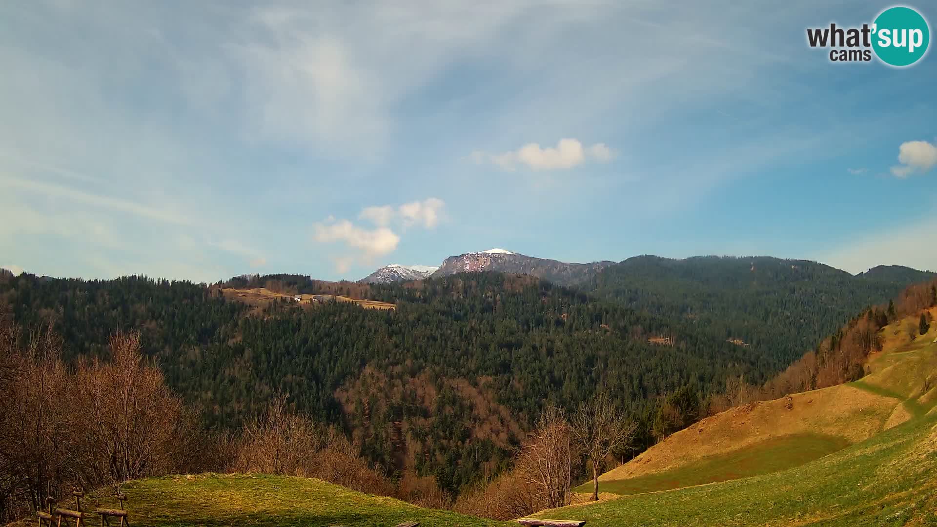 Webcam Brunarica Dražgoše – Live View of Ratitovec (1666 m)