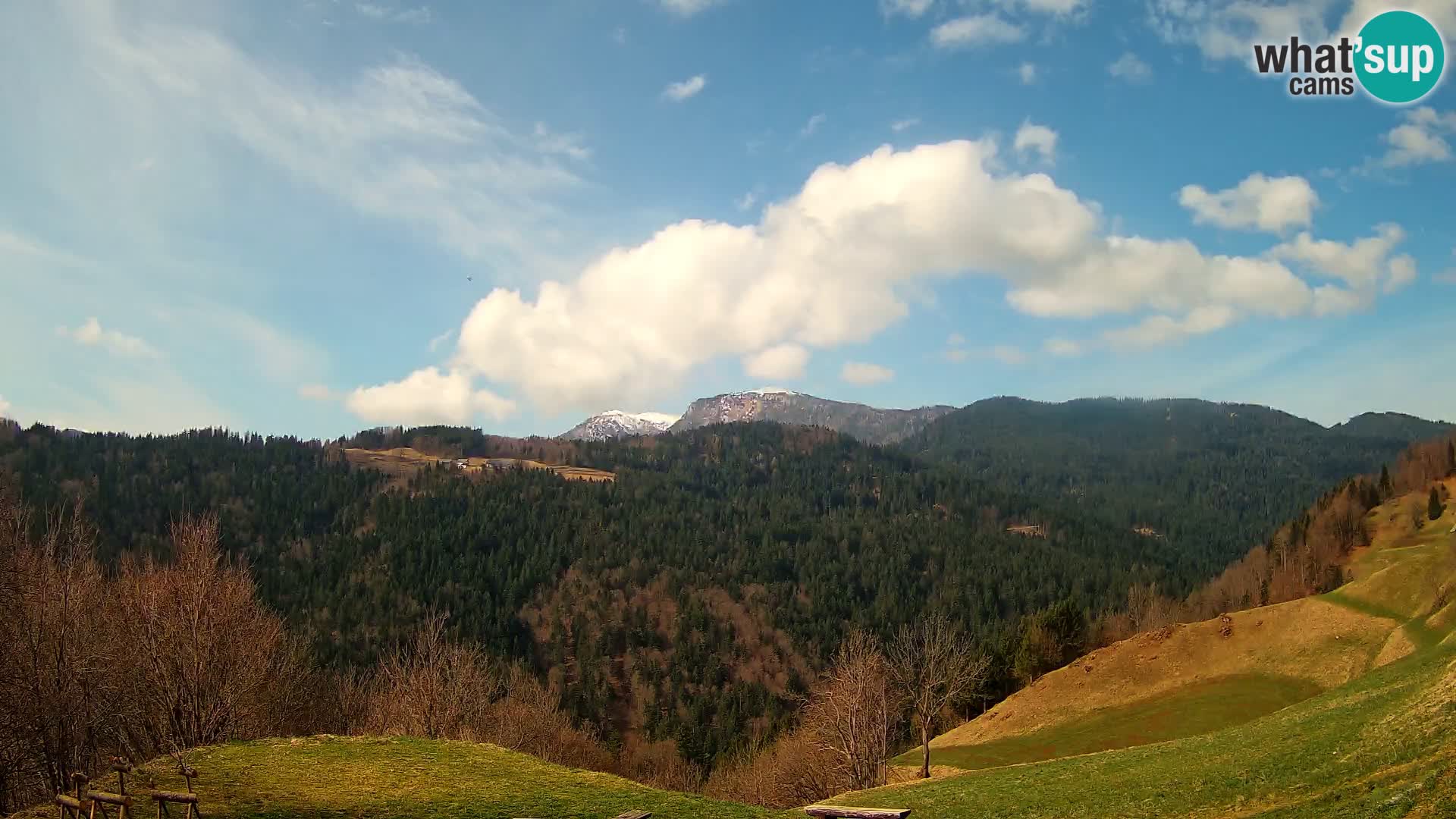 Webcam Brunarica Dražgoše – Vista live sul Ratitovec (1666 m)