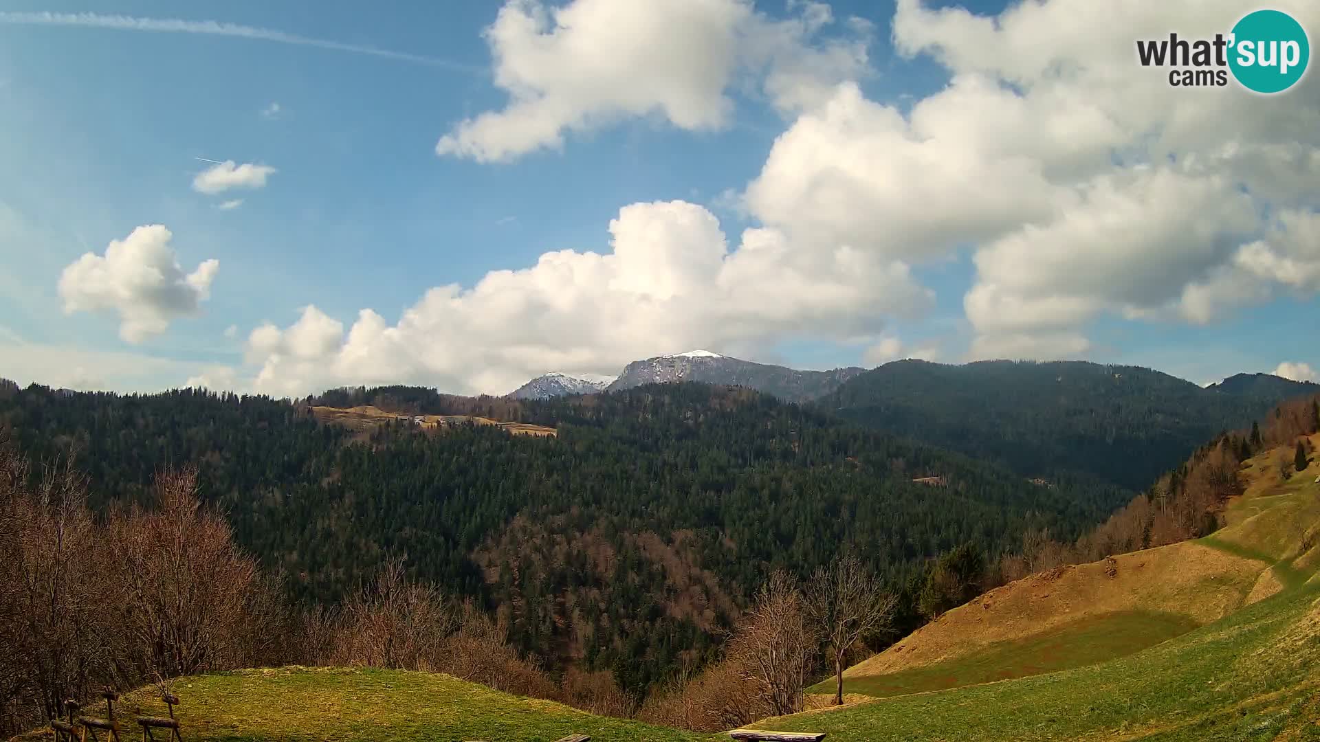 Webcam Brunarica Dražgoše – Live View of Ratitovec (1666 m)