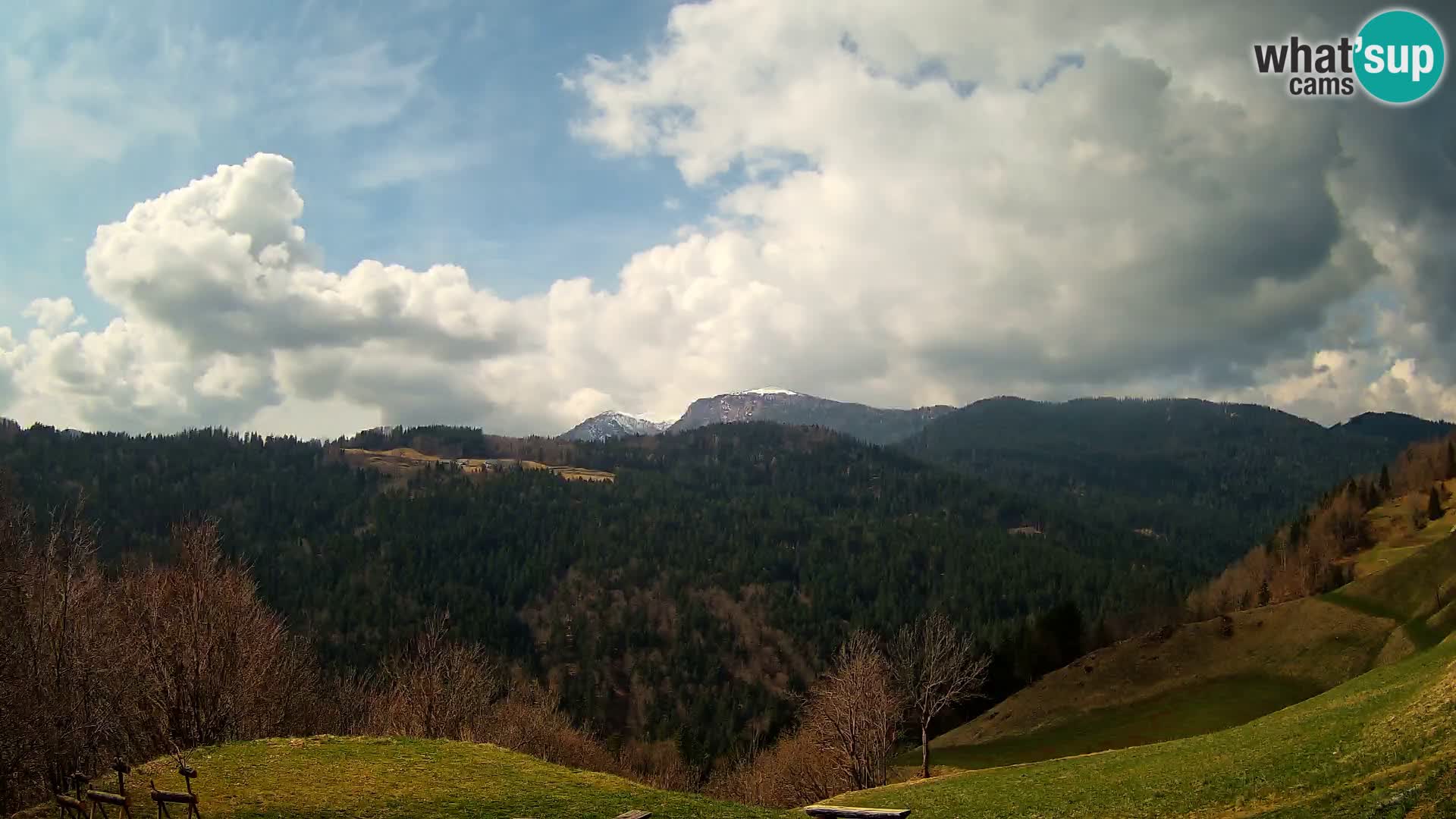 Webcam Brunarica Dražgoše – Live View of Ratitovec (1666 m)