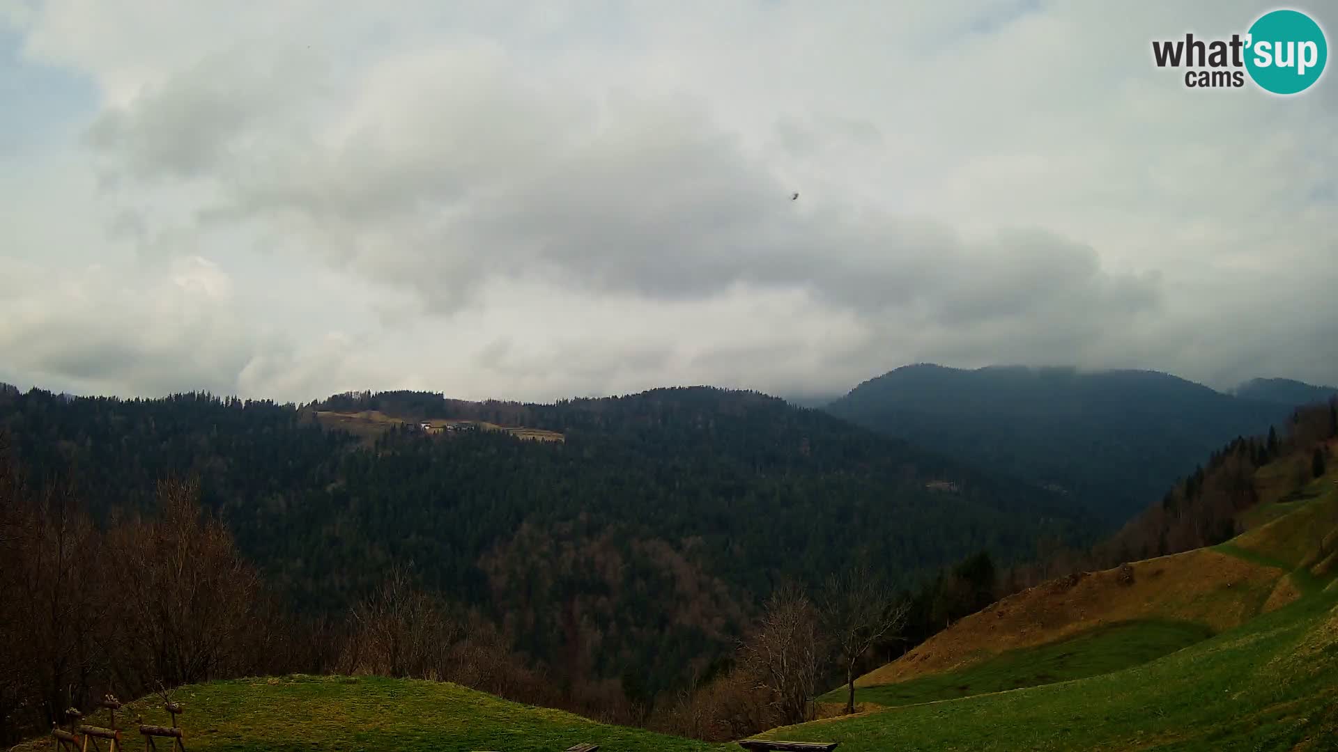 Web kamera Brunarica Dražgoše – Pogled uživo na Ratitovec (1666 m)