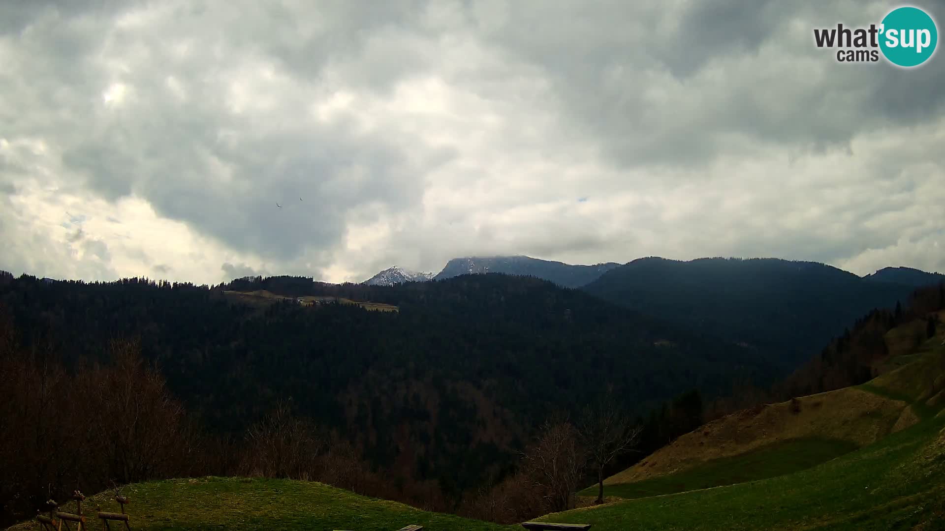 Webcam Brunarica Dražgoše – Vista live sul Ratitovec (1666 m)