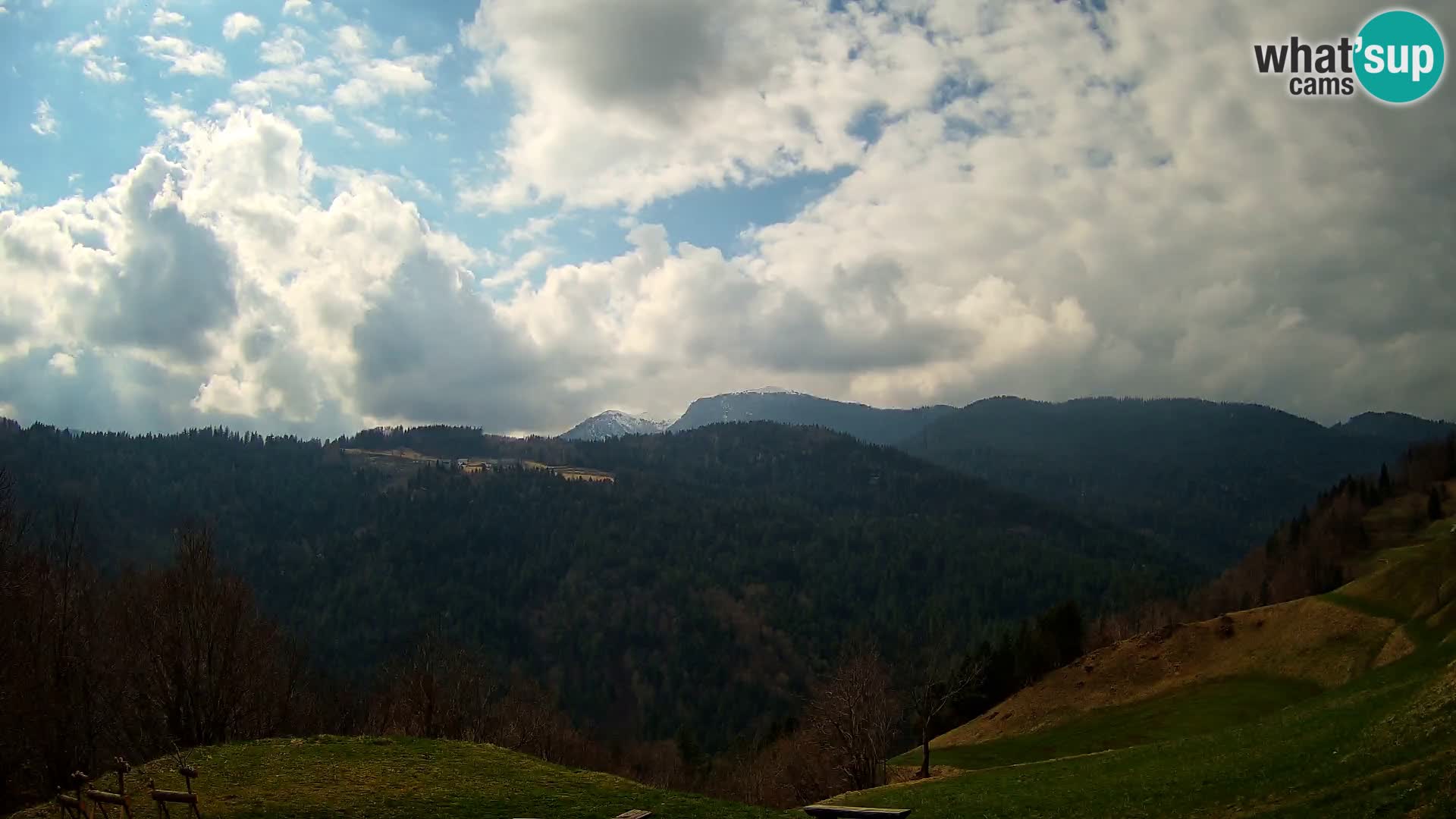 Webcam Brunarica Dražgoše – Live View of Ratitovec (1666 m)