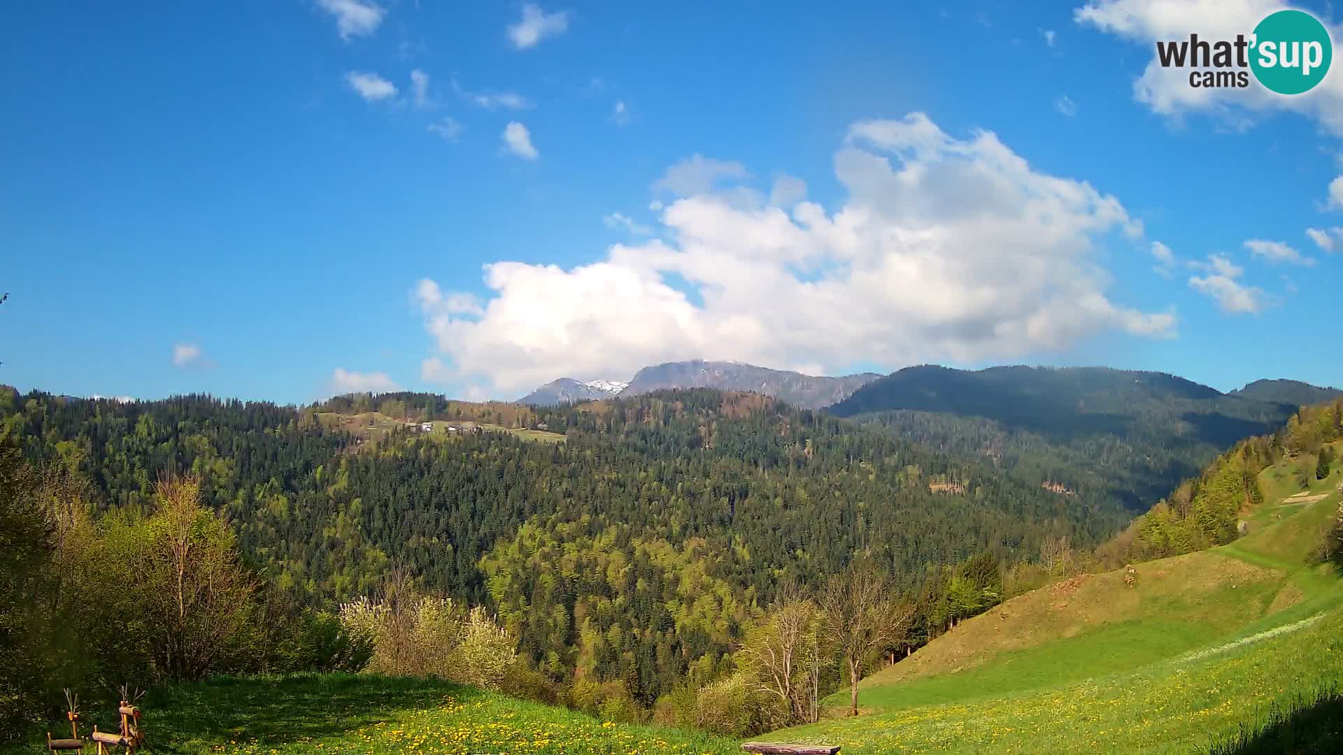 Webcam Brunarica Dražgoše – Live View of Ratitovec (1666 m)