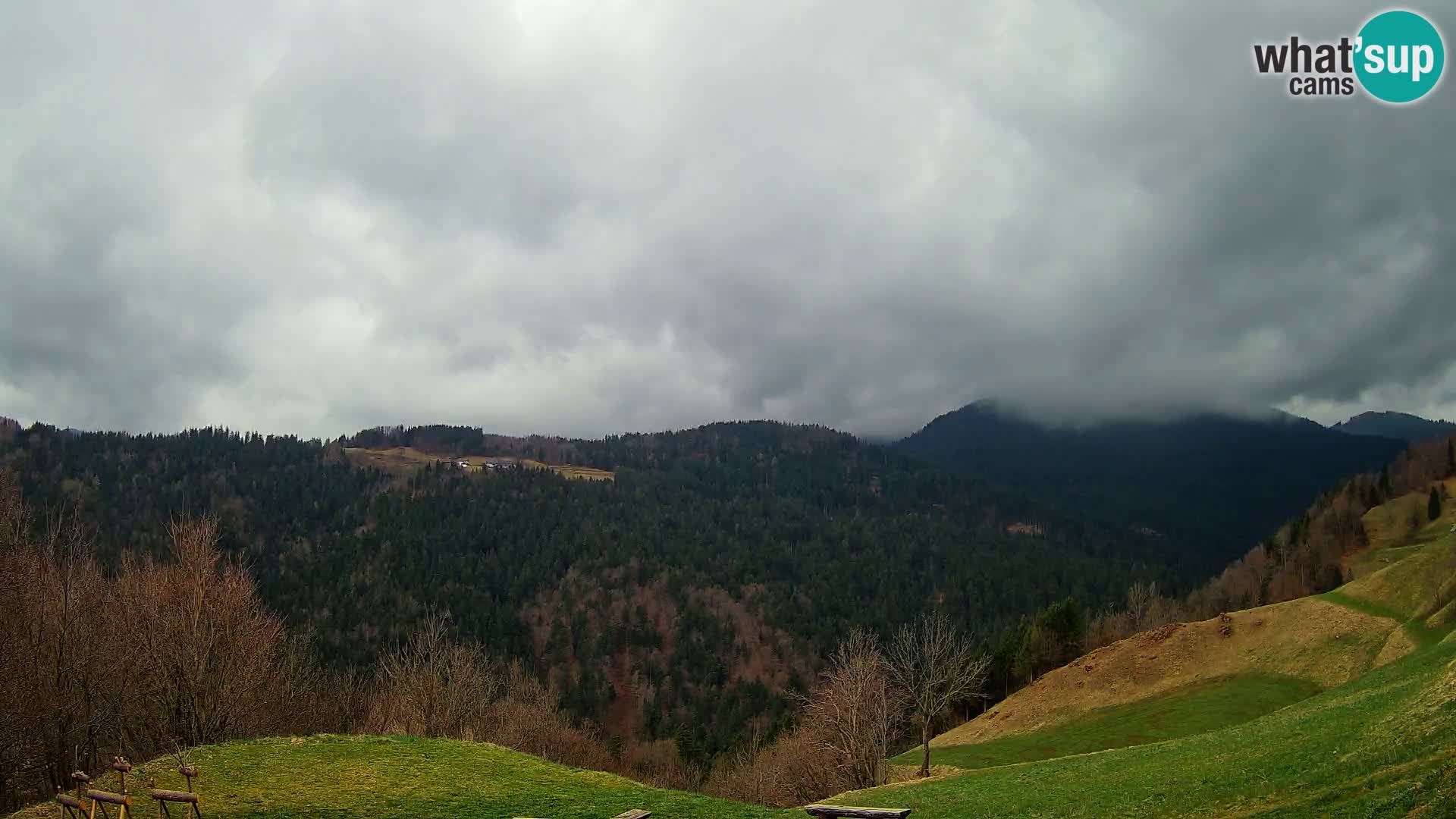 Webcam Brunarica Dražgoše – Live View of Ratitovec (1666 m)