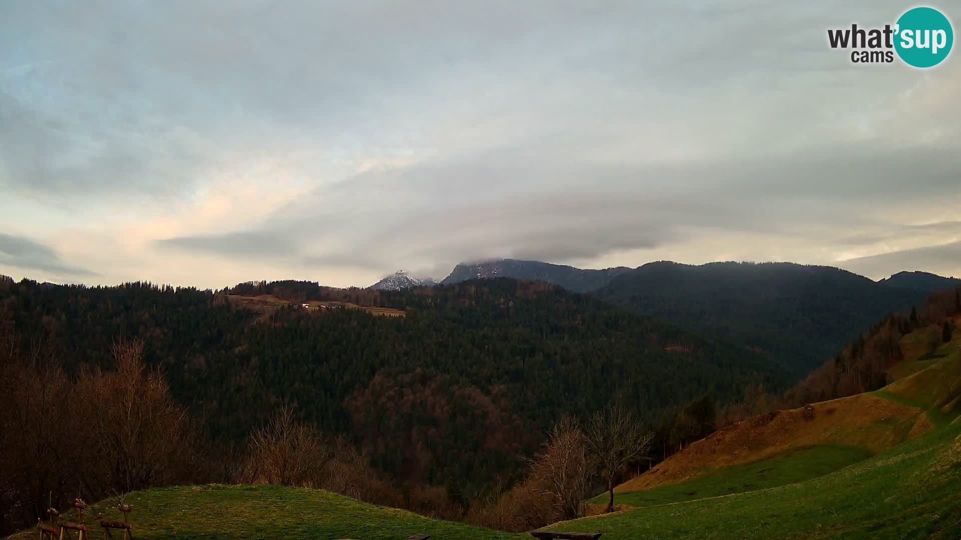 Webcam Brunarica Dražgoše – Live View of Ratitovec (1666 m)